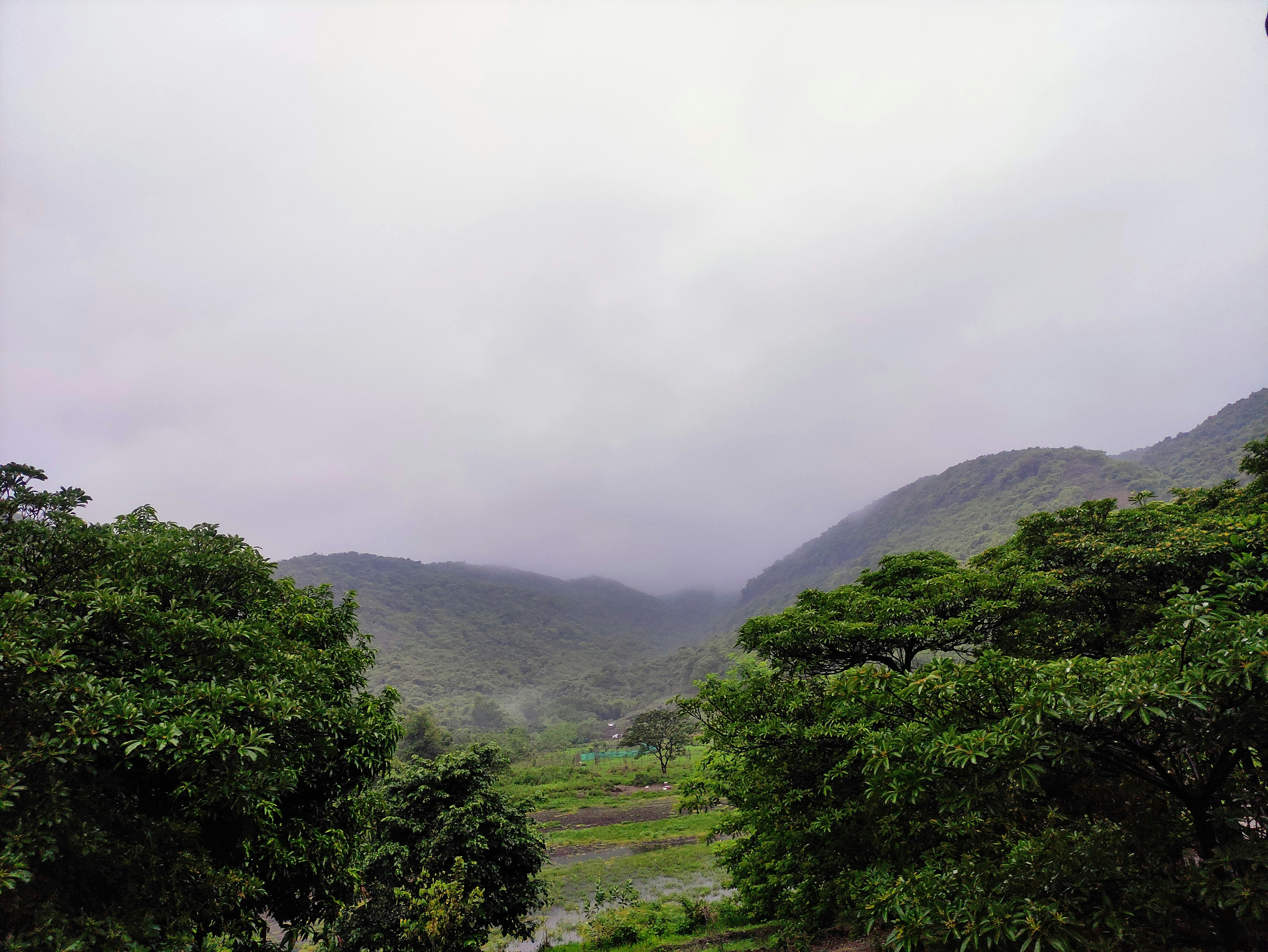 Image credit: Jacob Antony via unsplash
Image of trail to Duke's Nose, places to visit in Lonavala