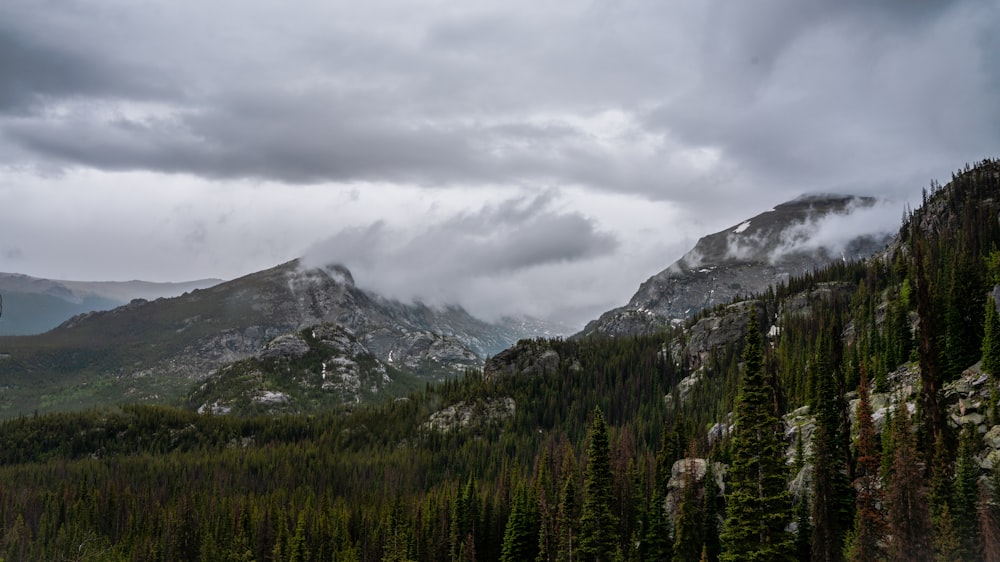 a landscape with trees and mountains