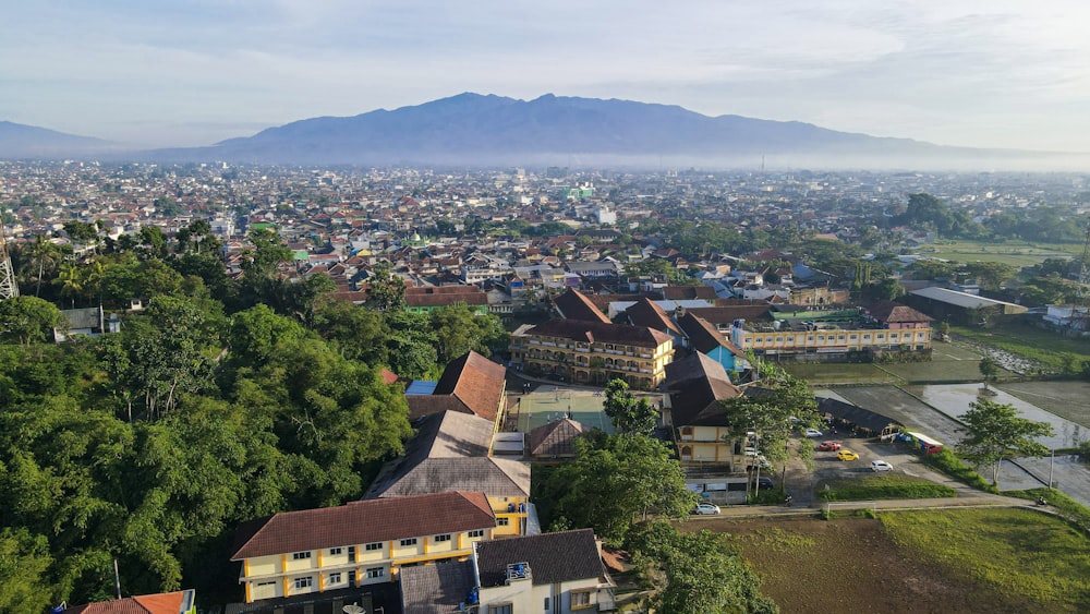 a city with many buildings and trees