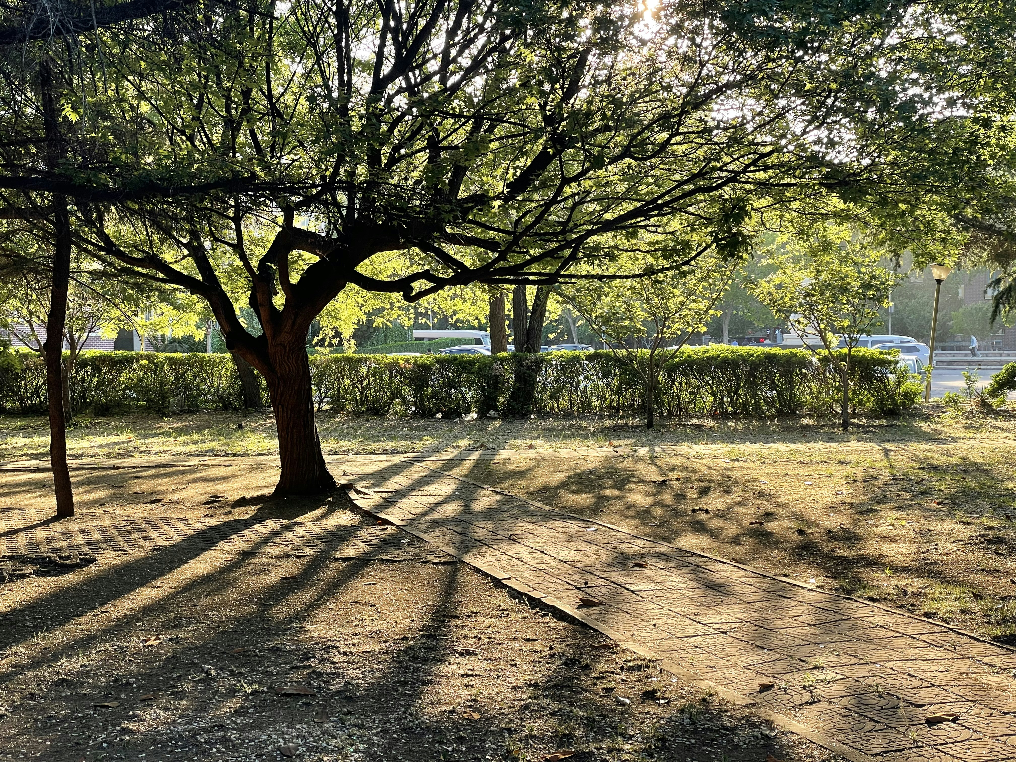 Photo by jiahaoliang