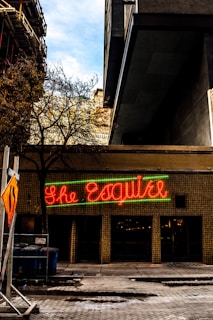A neon sign with the words 'The Esquire' in red cursive script and green underline is mounted on the exterior of a building. The street view captures the gritty urban environment with a paved sidewalk, a leafless tree, and a construction site sign in the foreground. Modern architecture, characterized by large overhangs and straight lines, looms above the building.