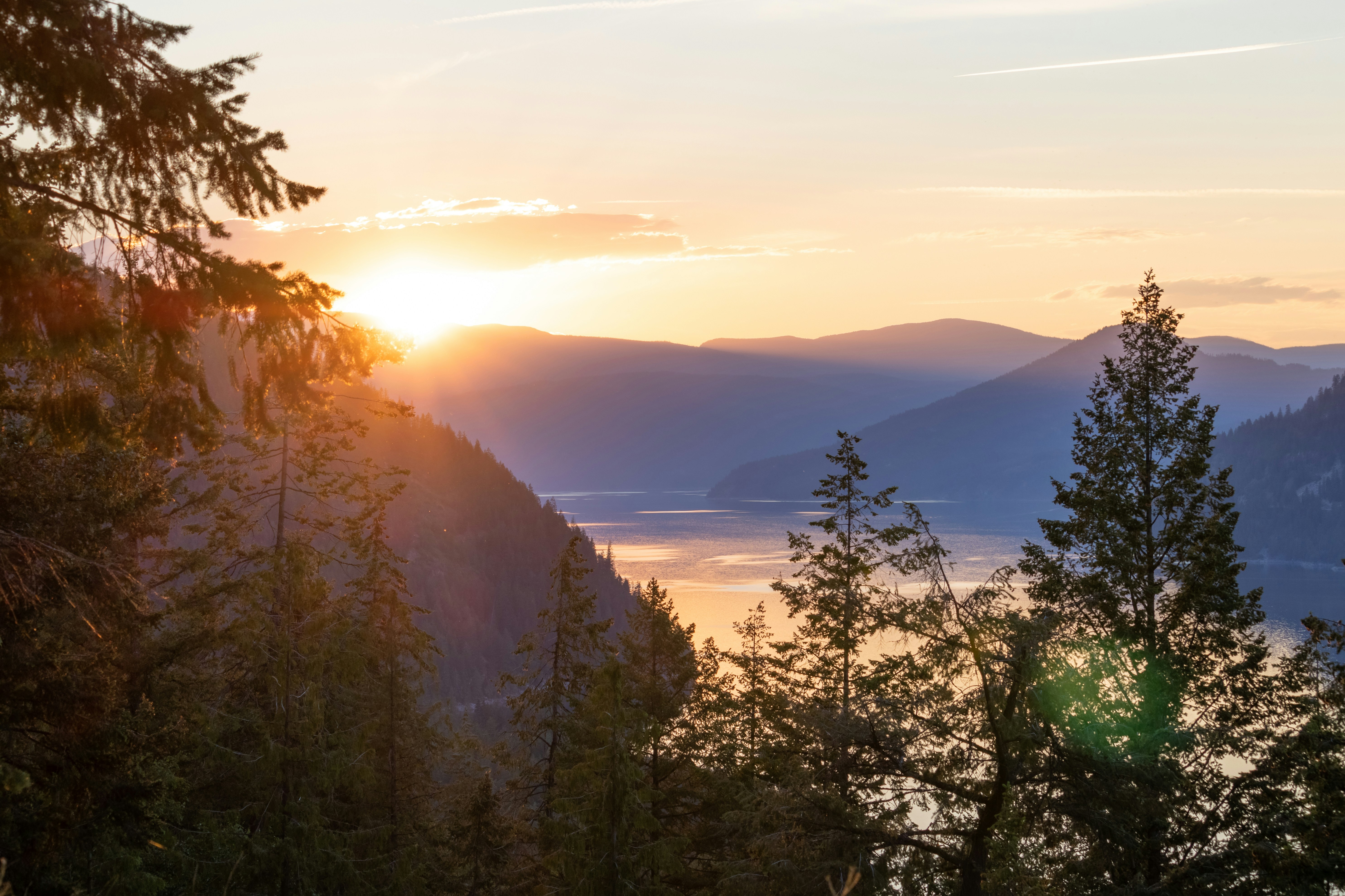 Photo by scatteredbitsoflight