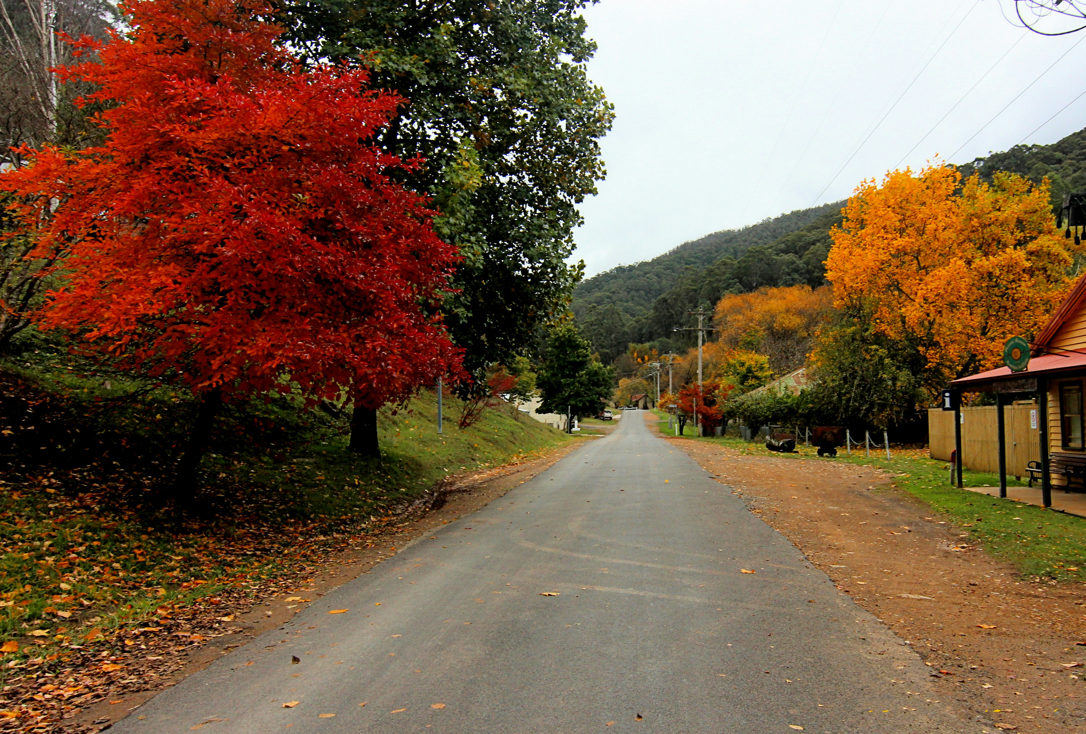 Autumn street scene