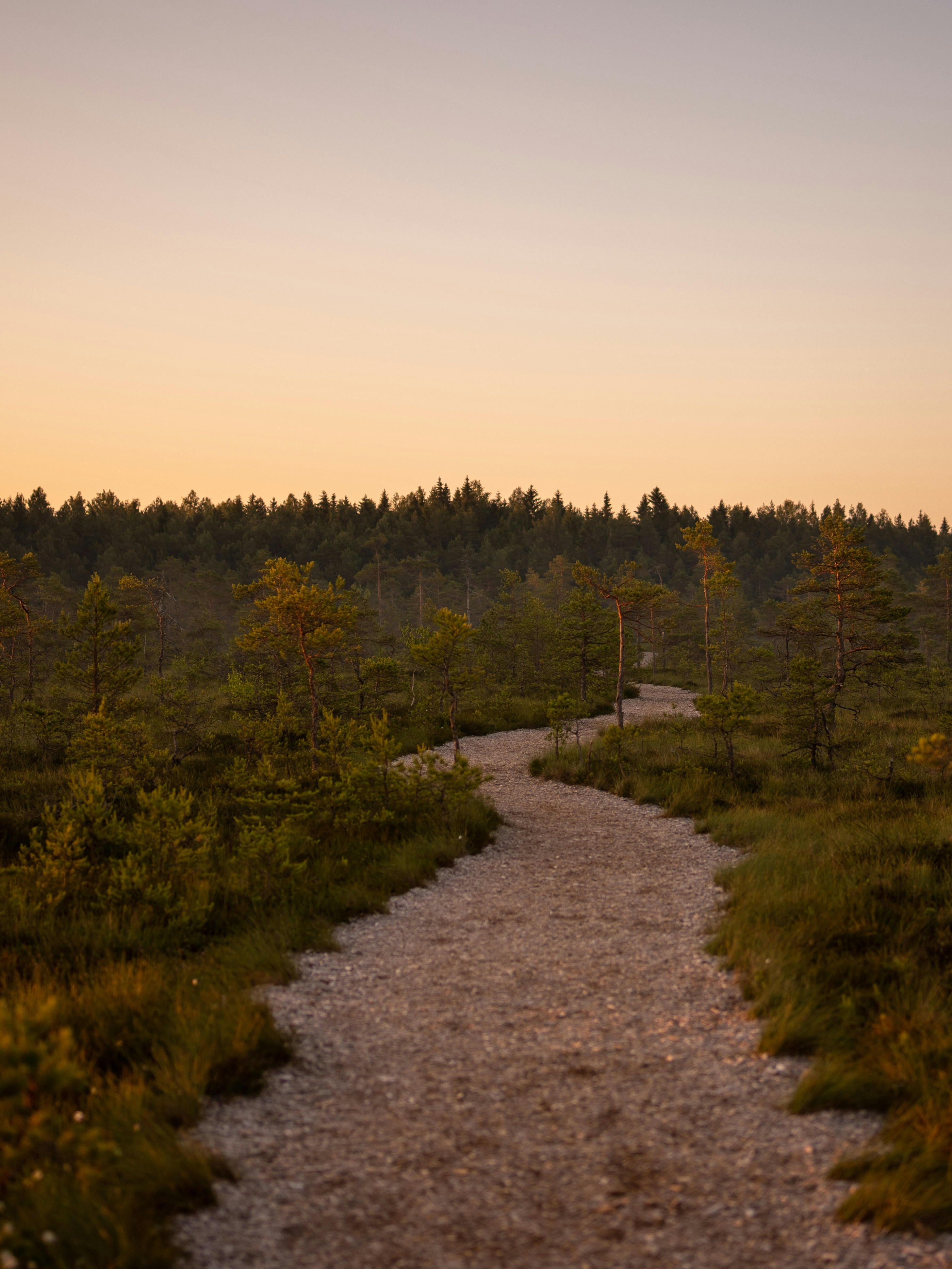 Photo by janekvaldsalu