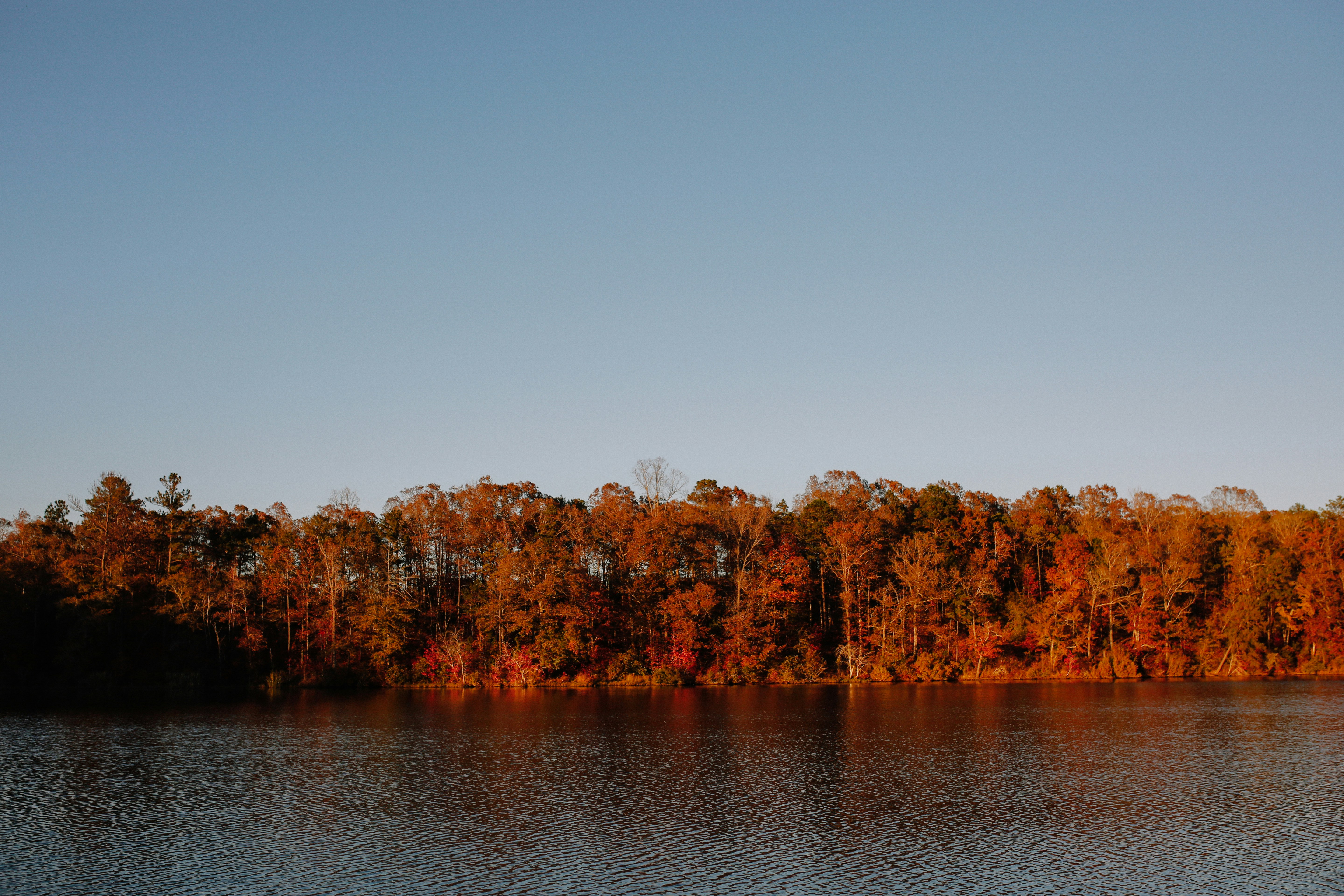 Photo by galligangrace