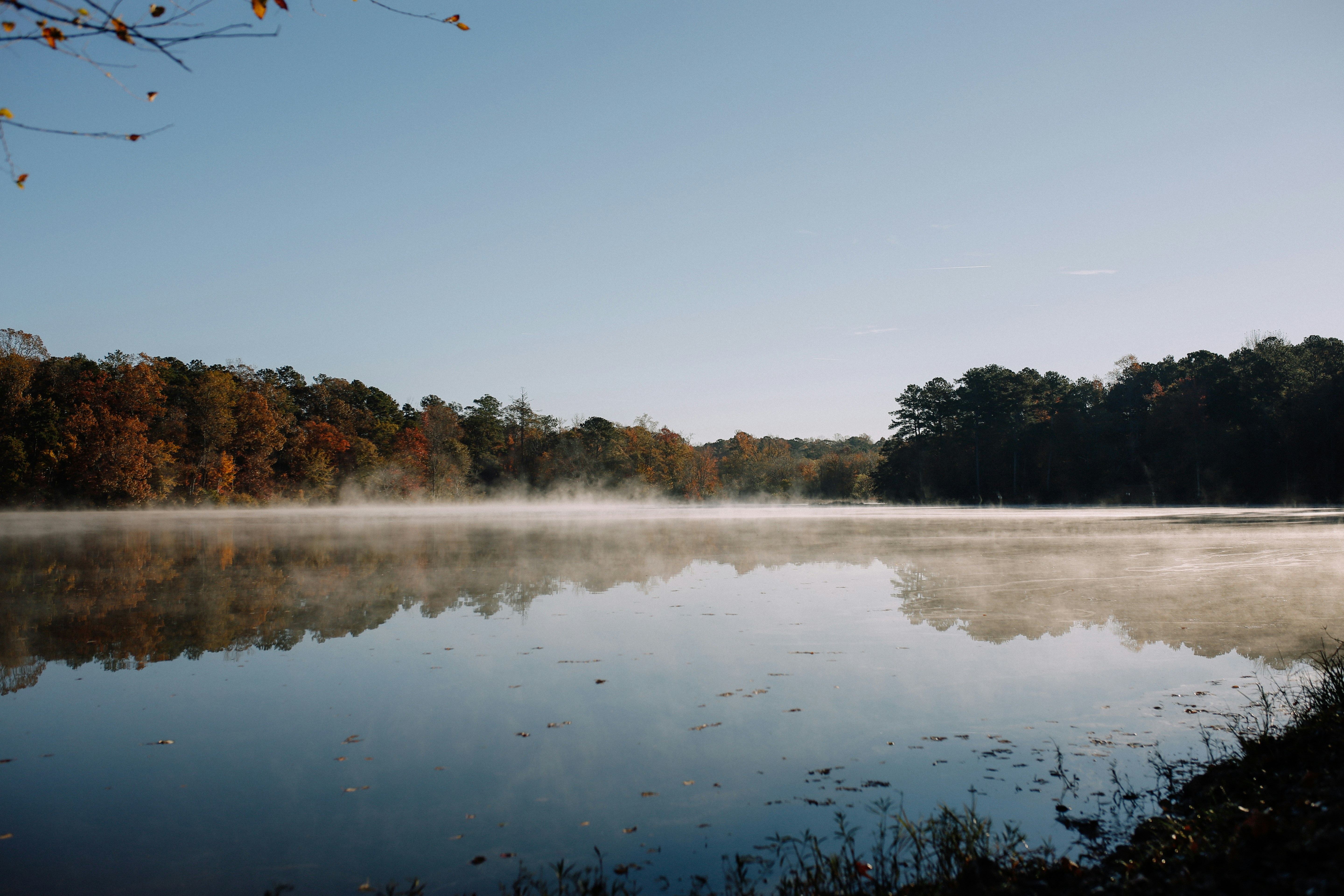 Photo by galligangrace