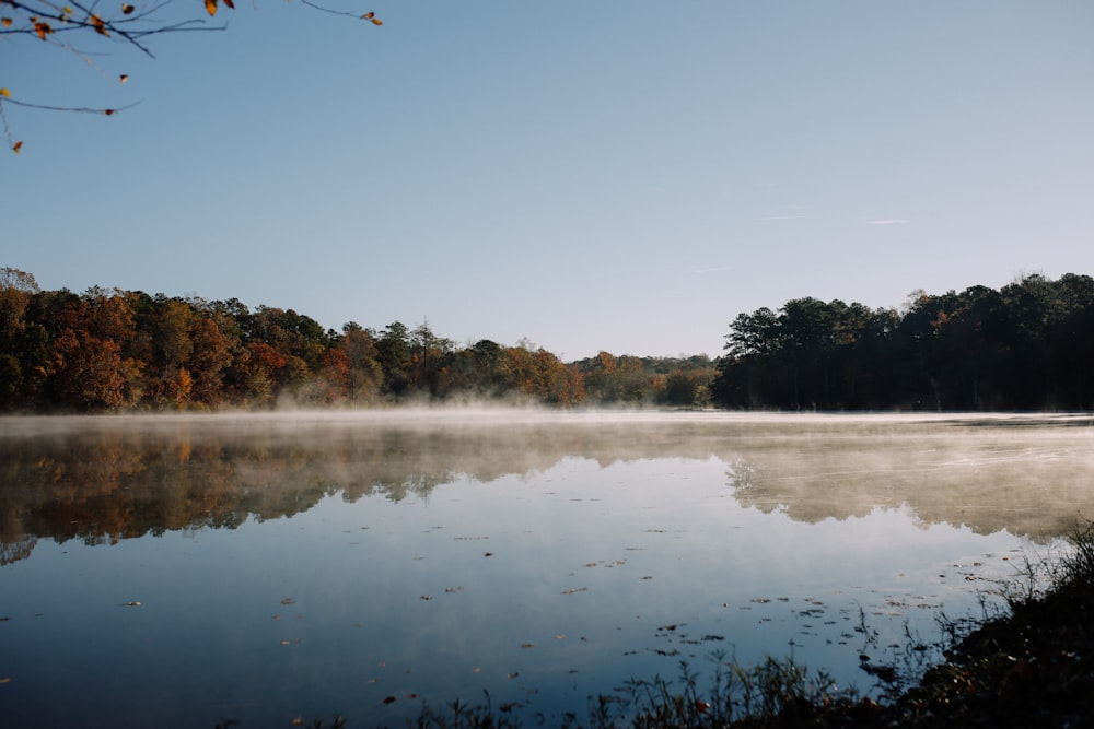 Ein See mit Bäumen im Hintergrund