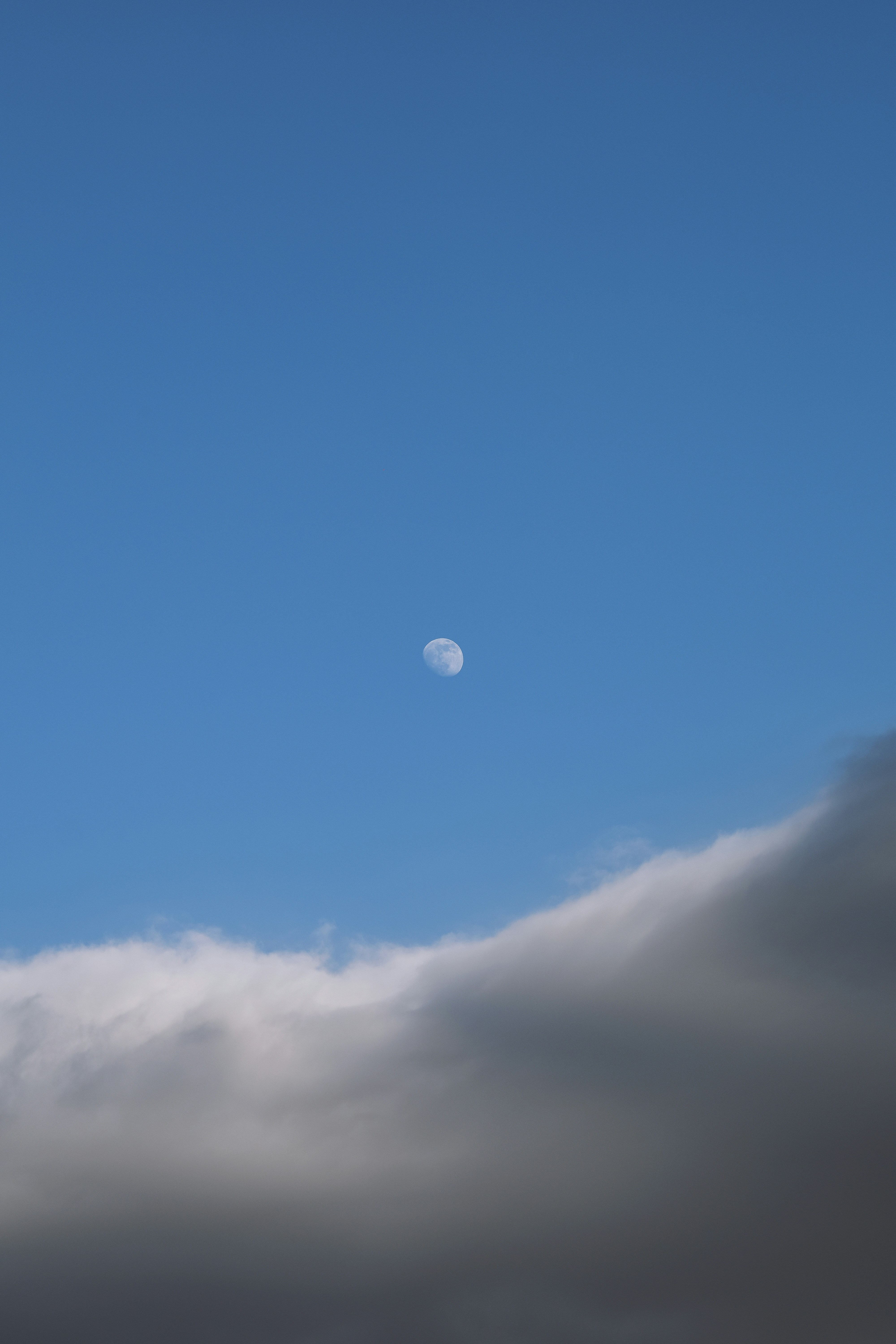 Photo by rfrsrh
