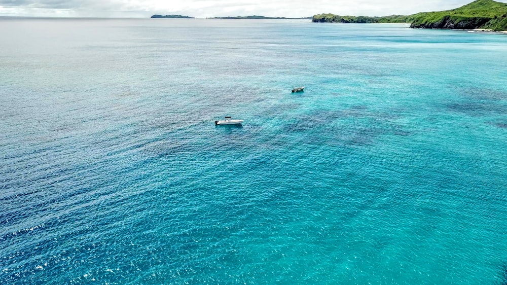 a group of boats in a body of water