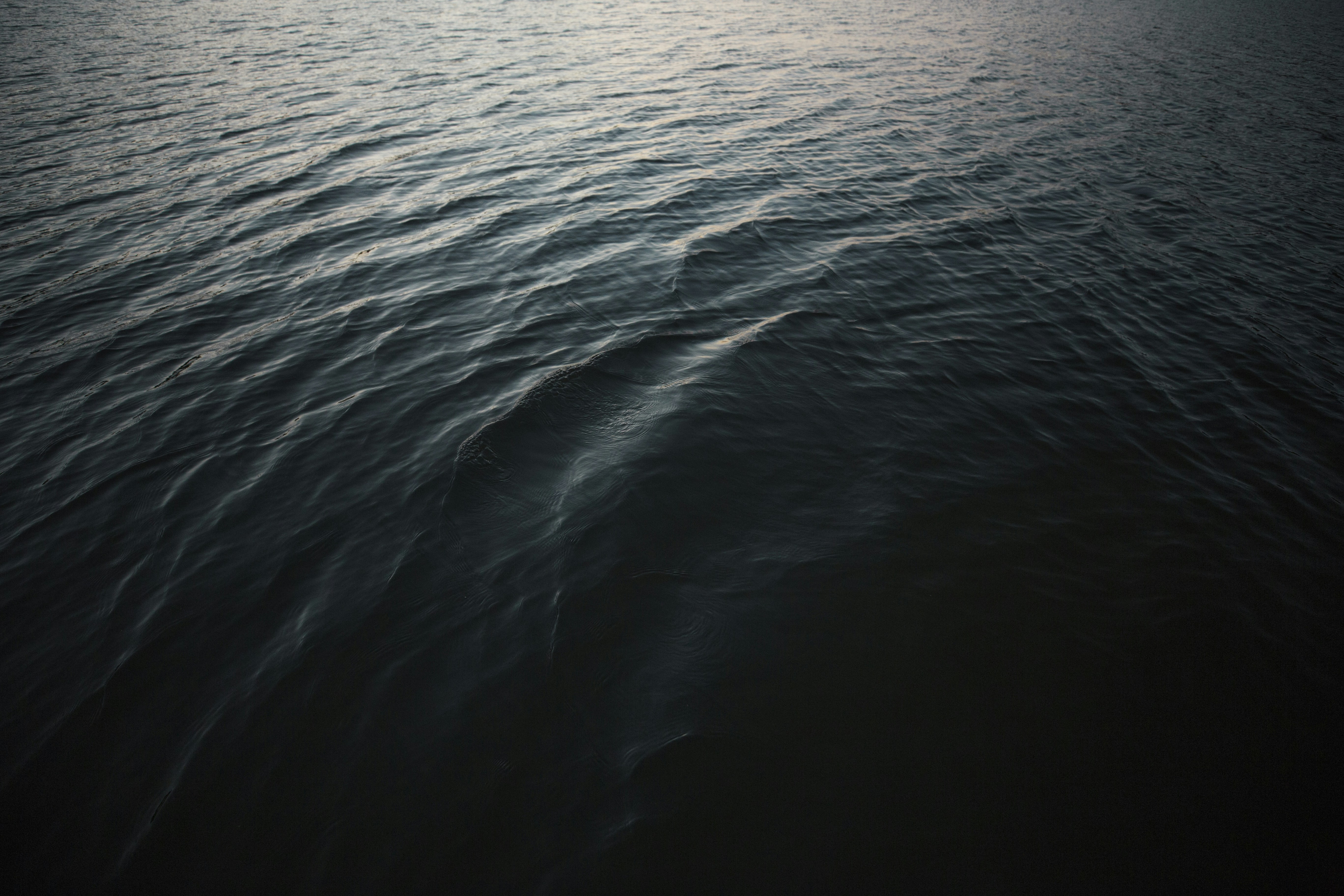 Photo by longlitsense