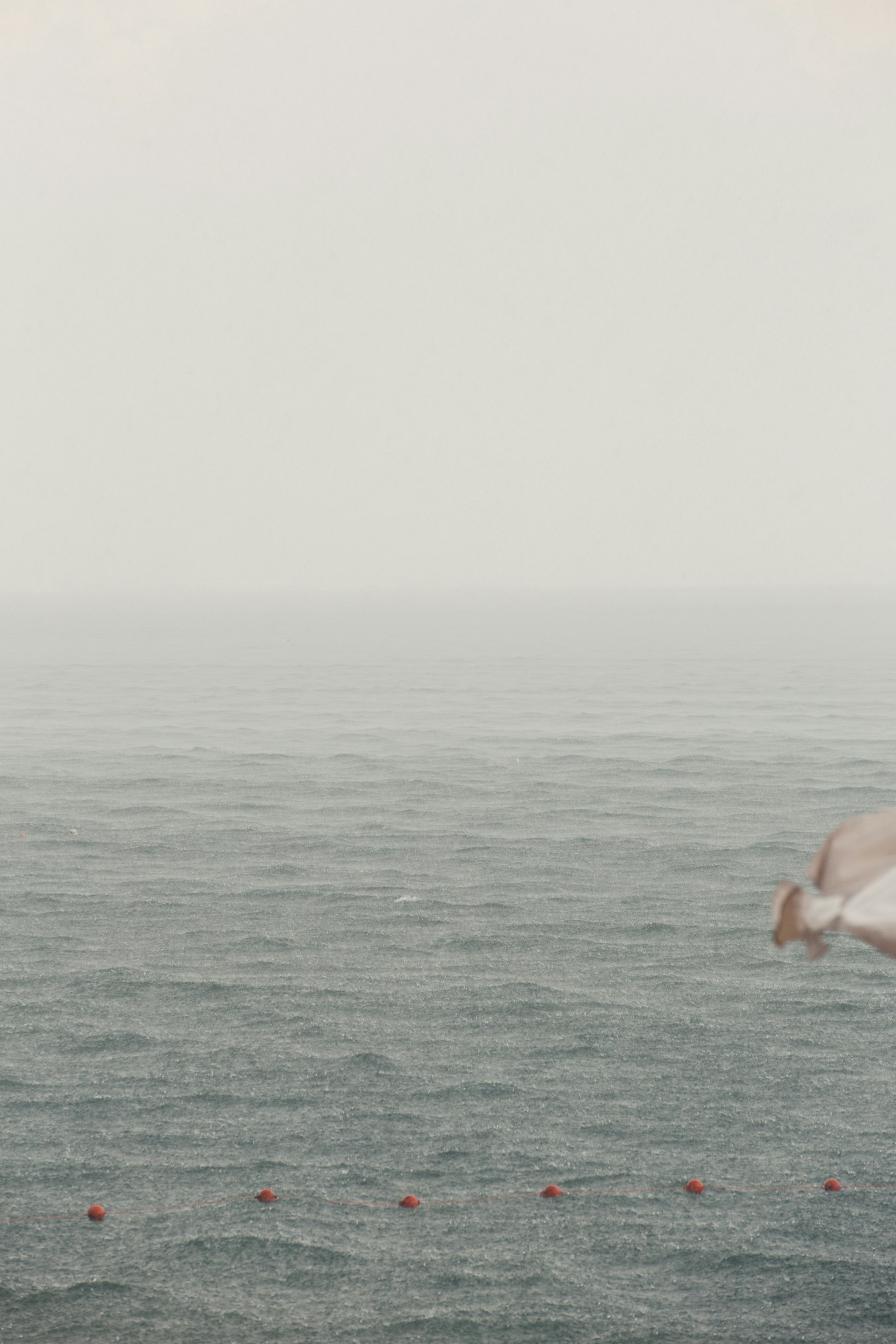a person's hand reaching out to a body of water