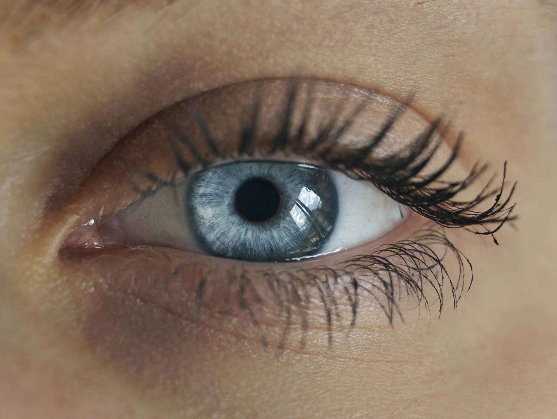 close-up of a person's eye