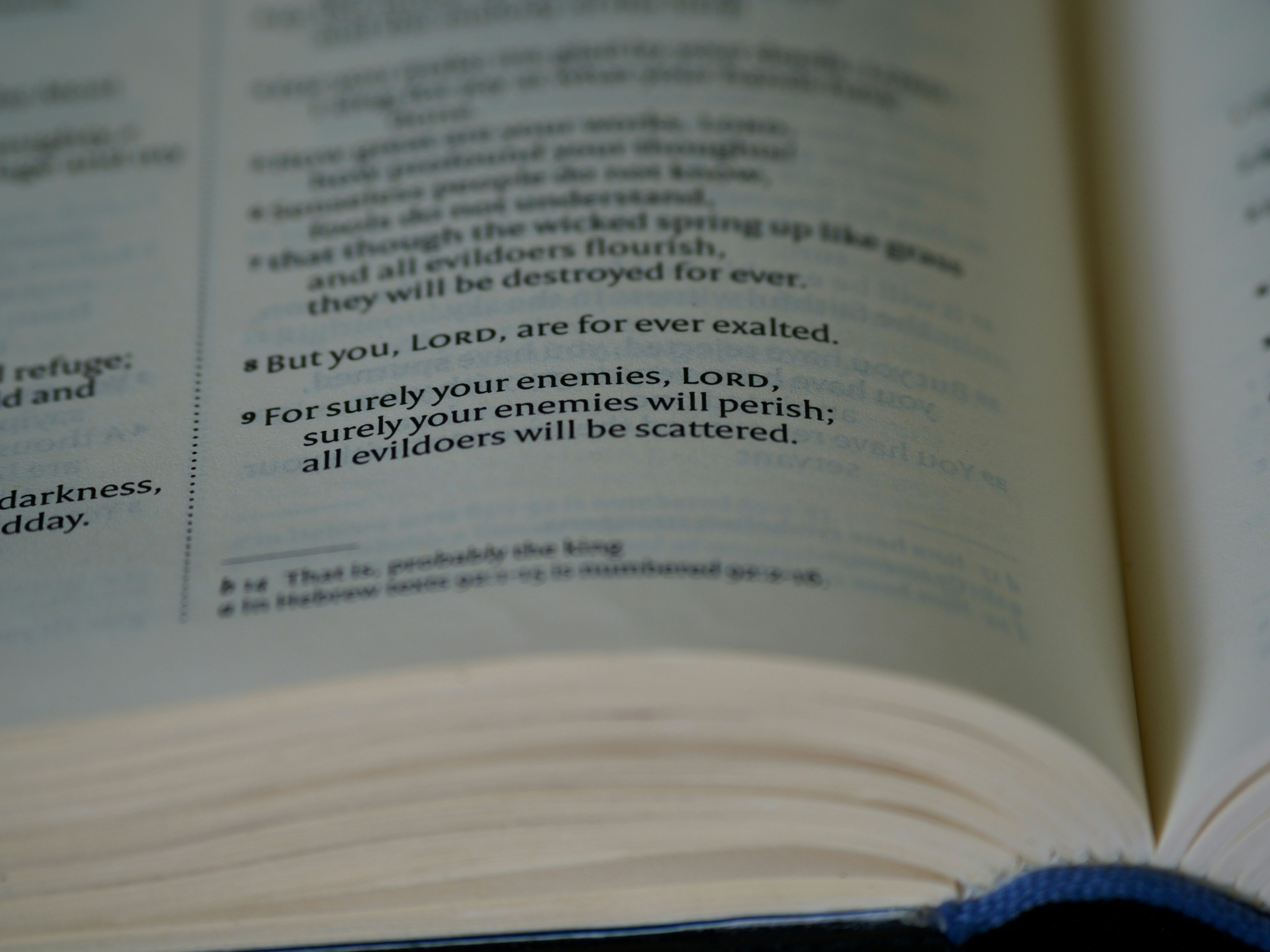 Photo by brett_jordan