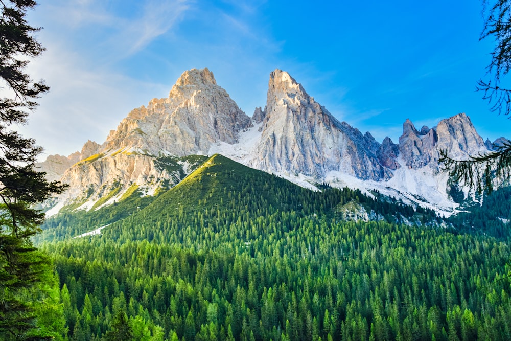 a mountain with trees below