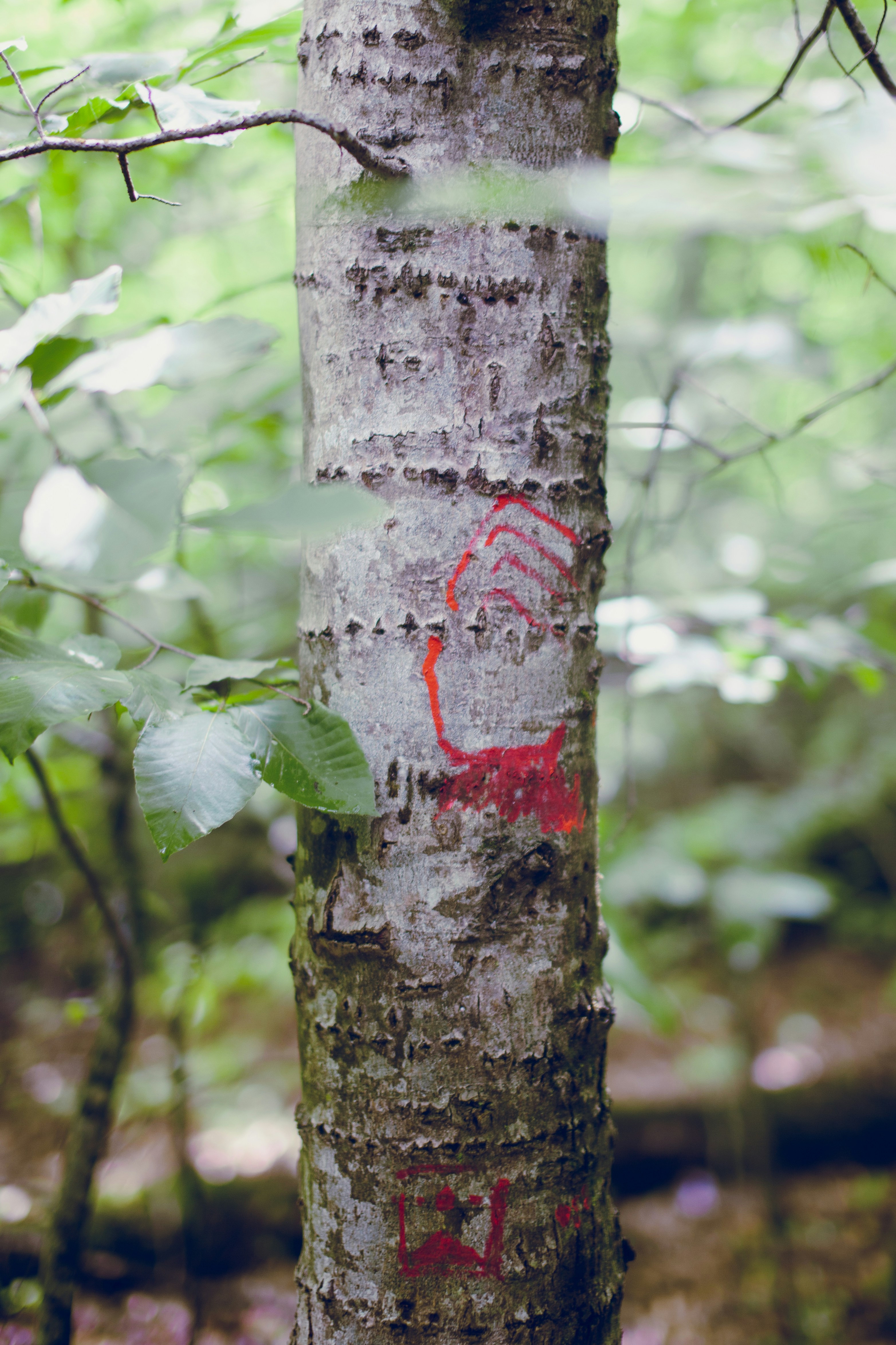 Photo by koryunhills