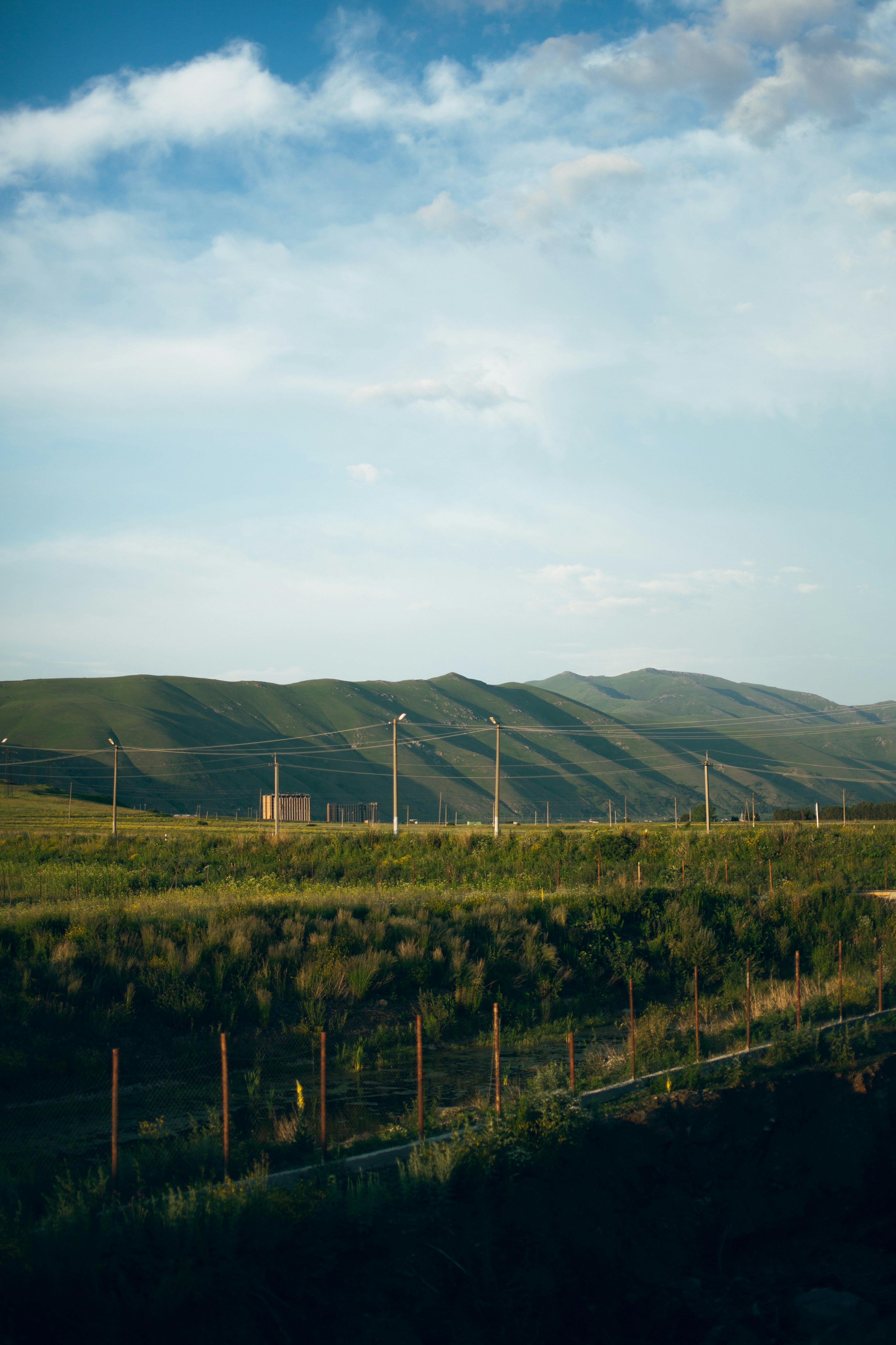 Photo by koryunhills