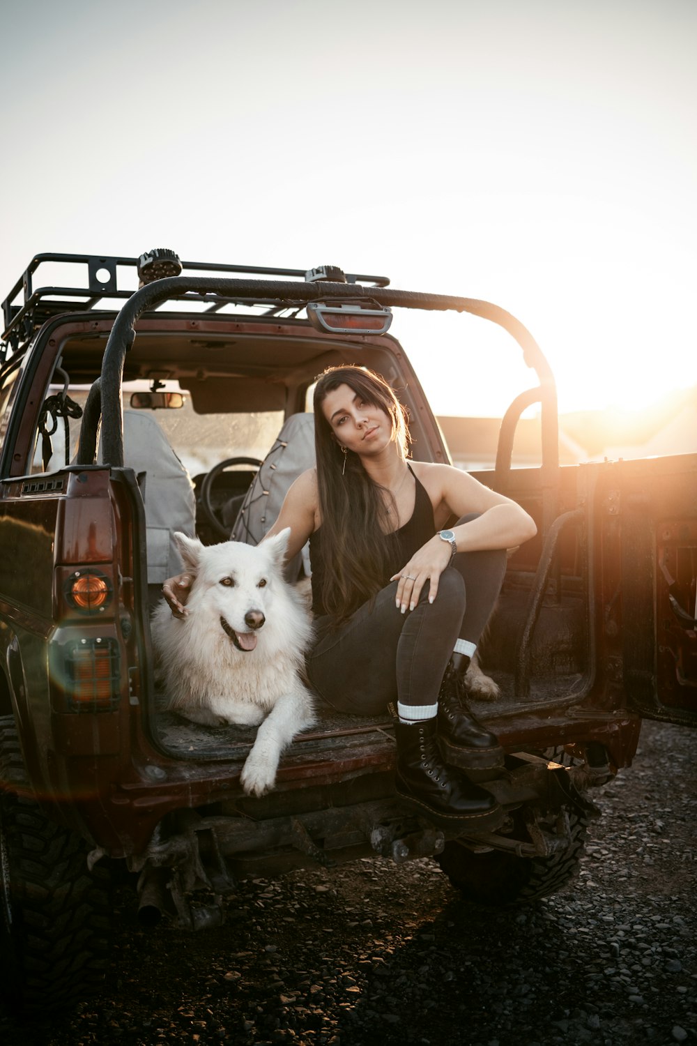 a person sitting in a vehicle with a dog in the passenger seat