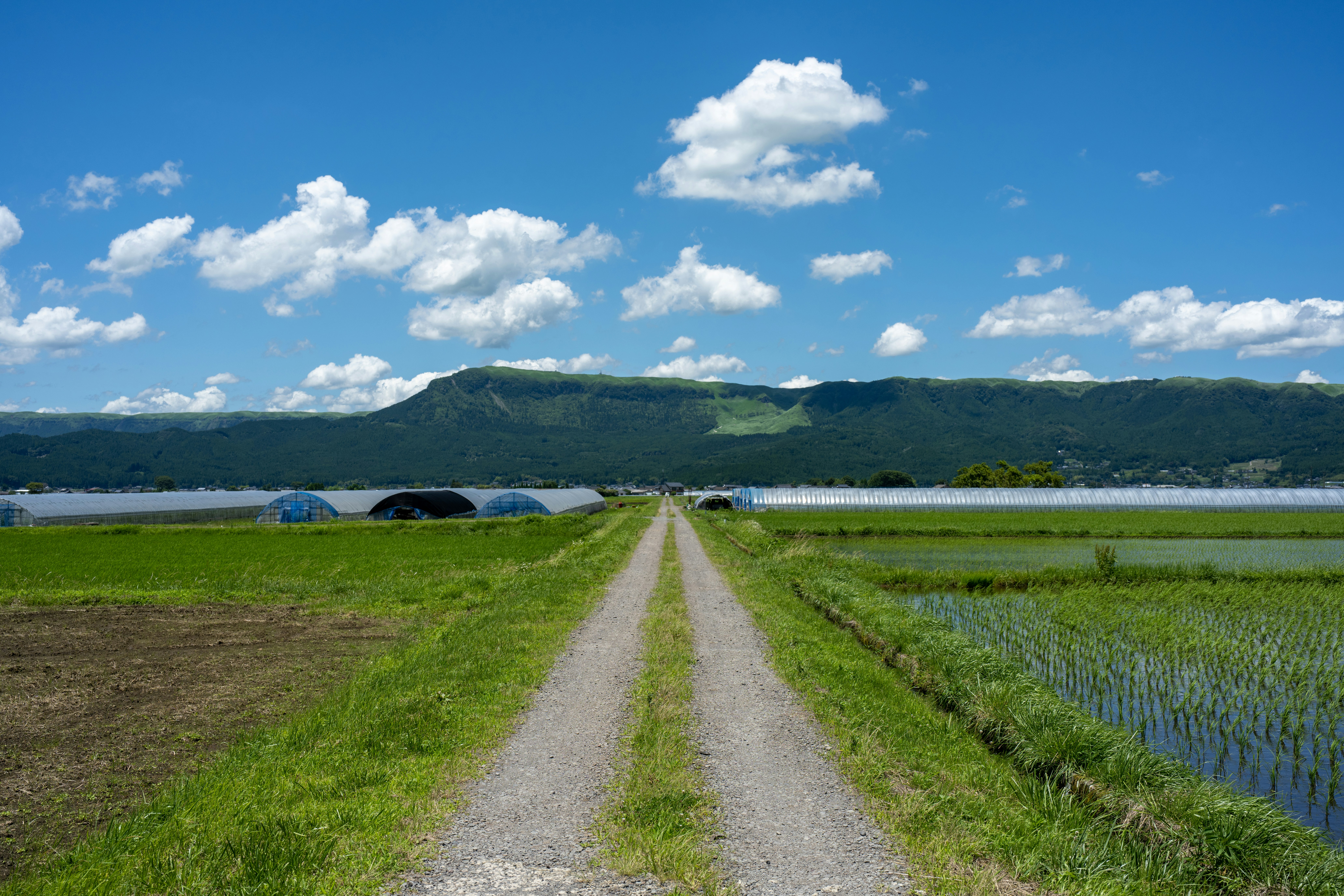 Farm-to-Table Cuisine in Tokachi