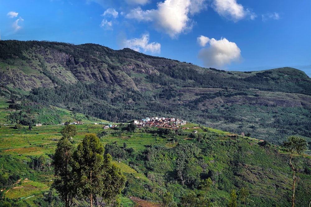 a landscape with trees and a building in the distance