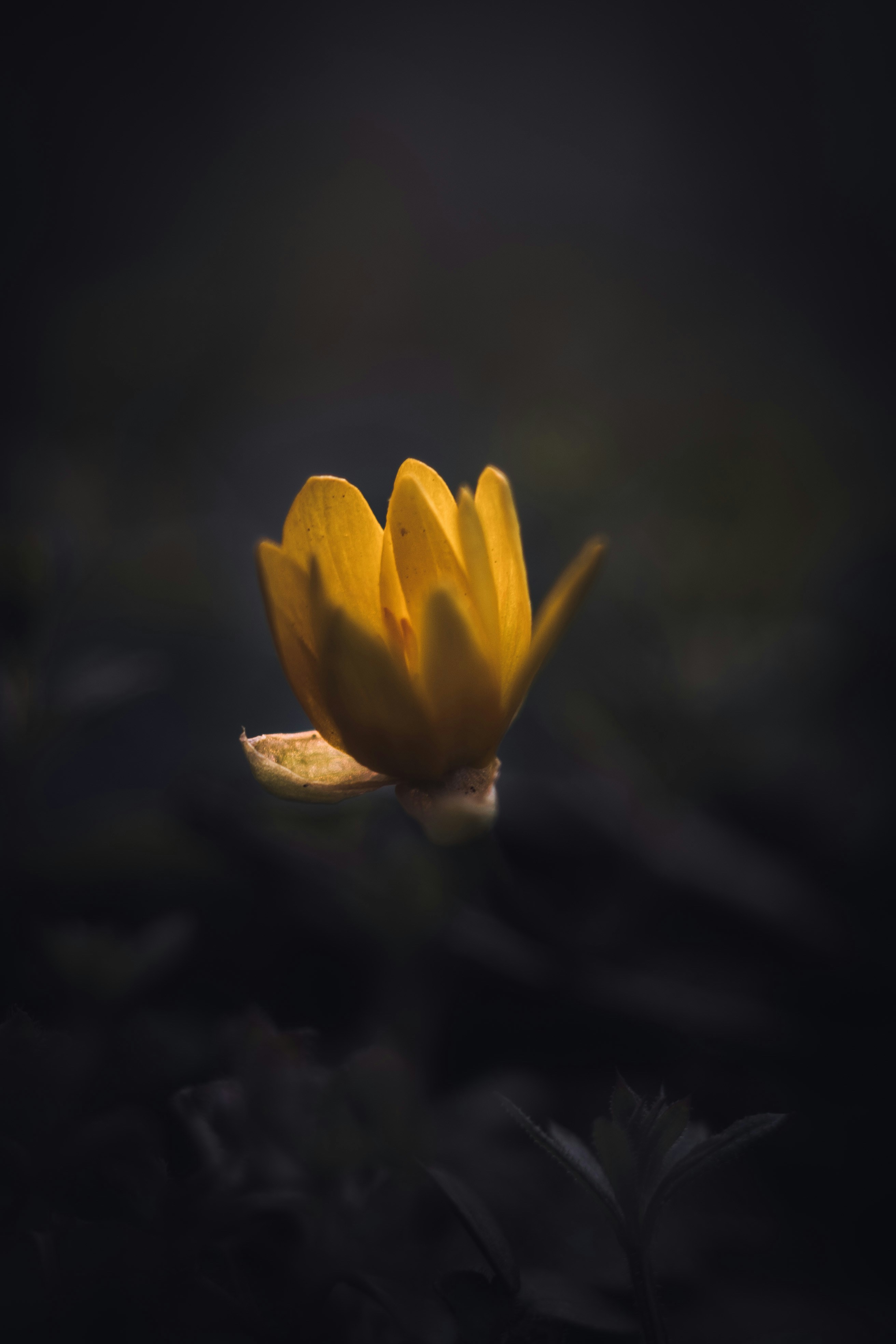 Photo by dermanuskript