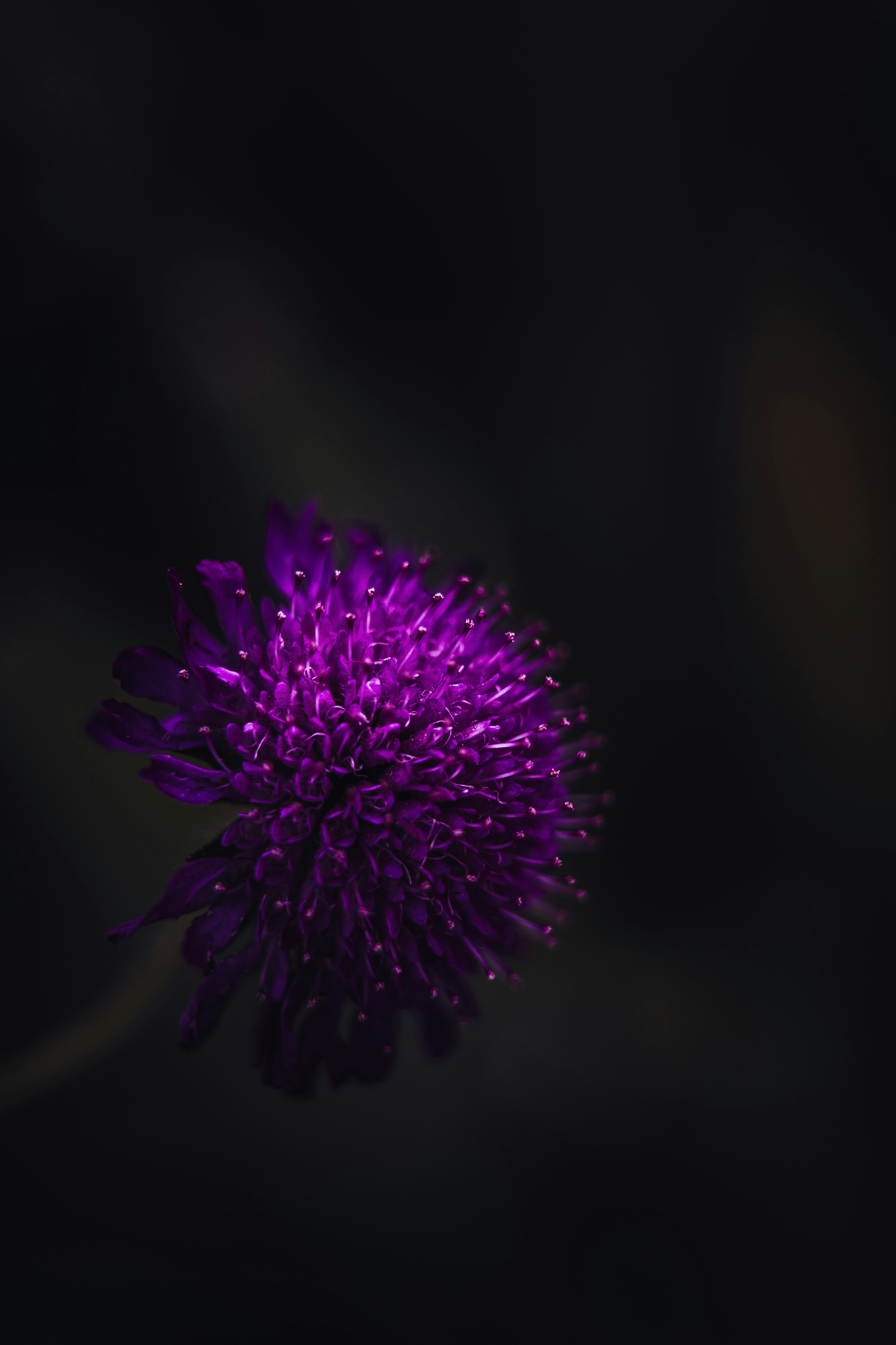 Photo by dermanuskript