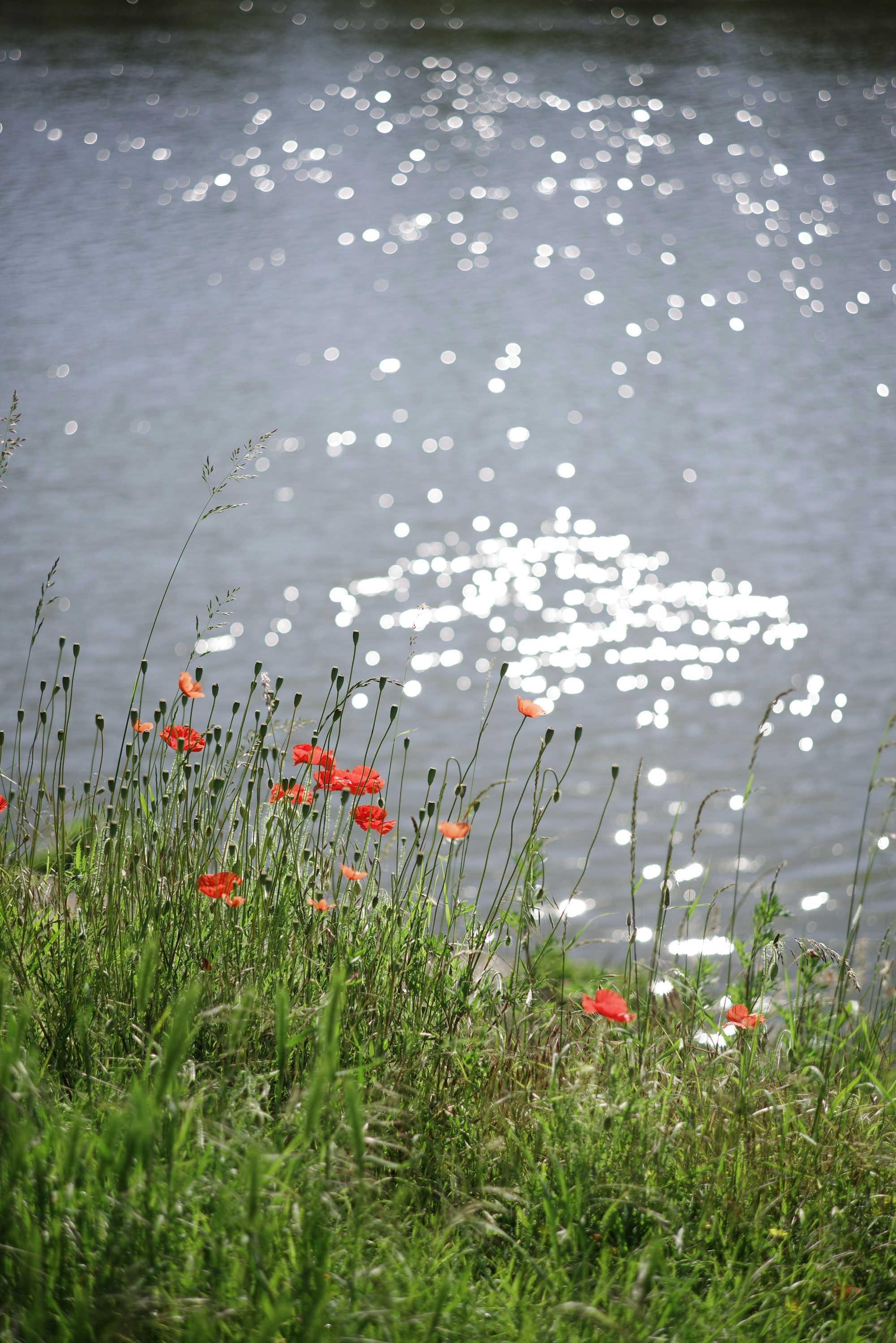 Pontoise Weather Guide: Best Seasons & Months to Visit