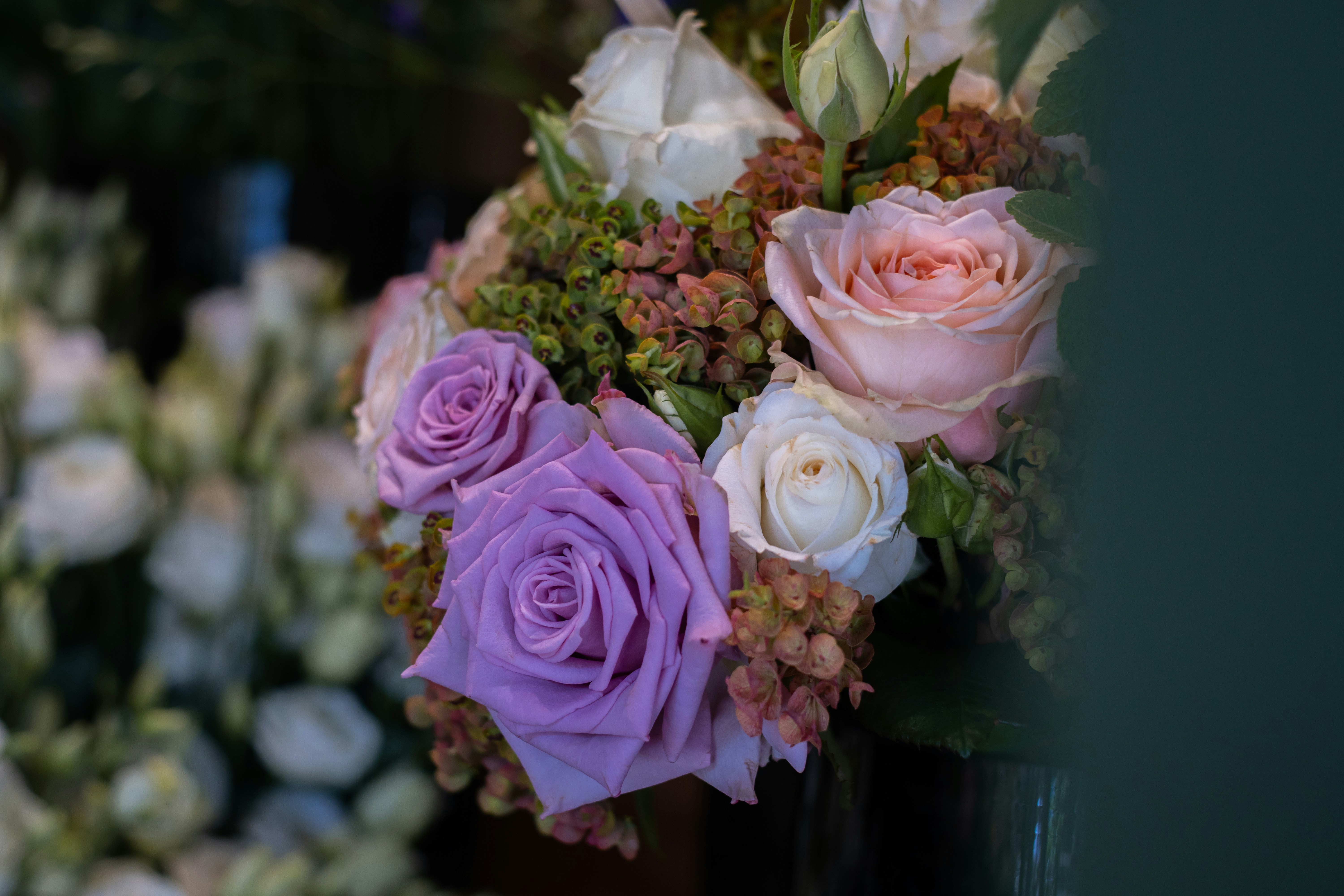 Photo by barthelemy_r