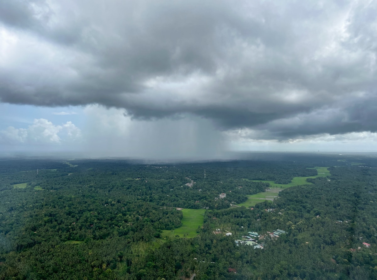 Heavy tropical monsoon rain falling on a lush green Sri Lankan landscape