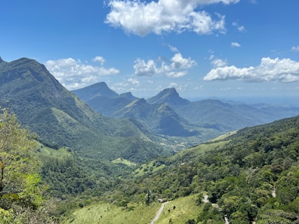 a landscape with trees and mountains