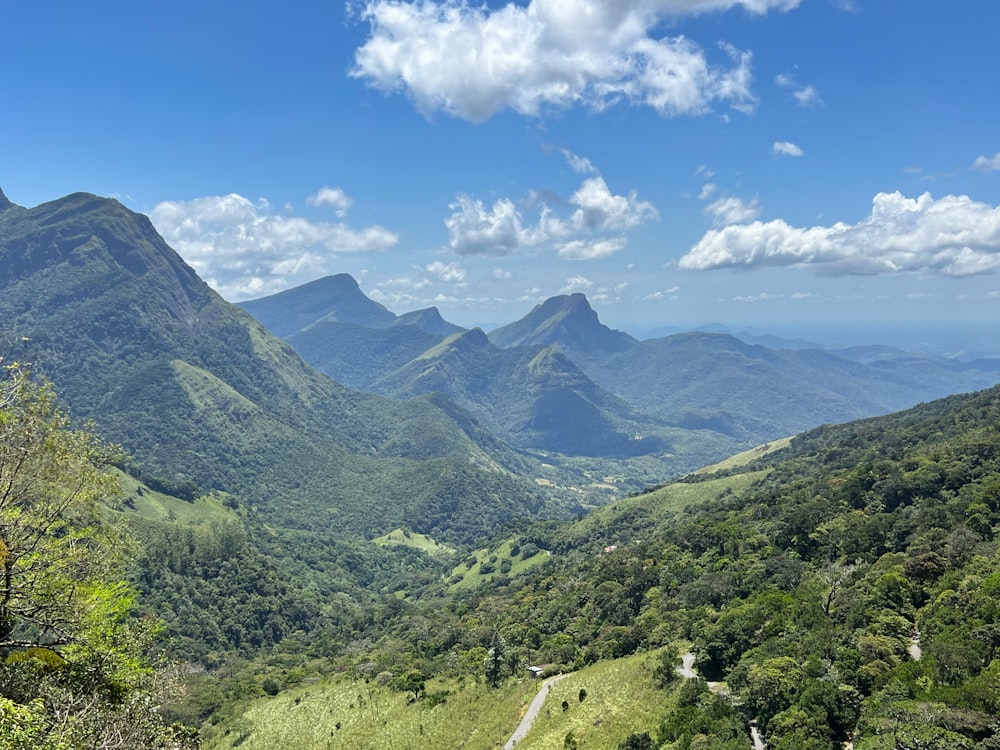 a landscape with trees and mountains