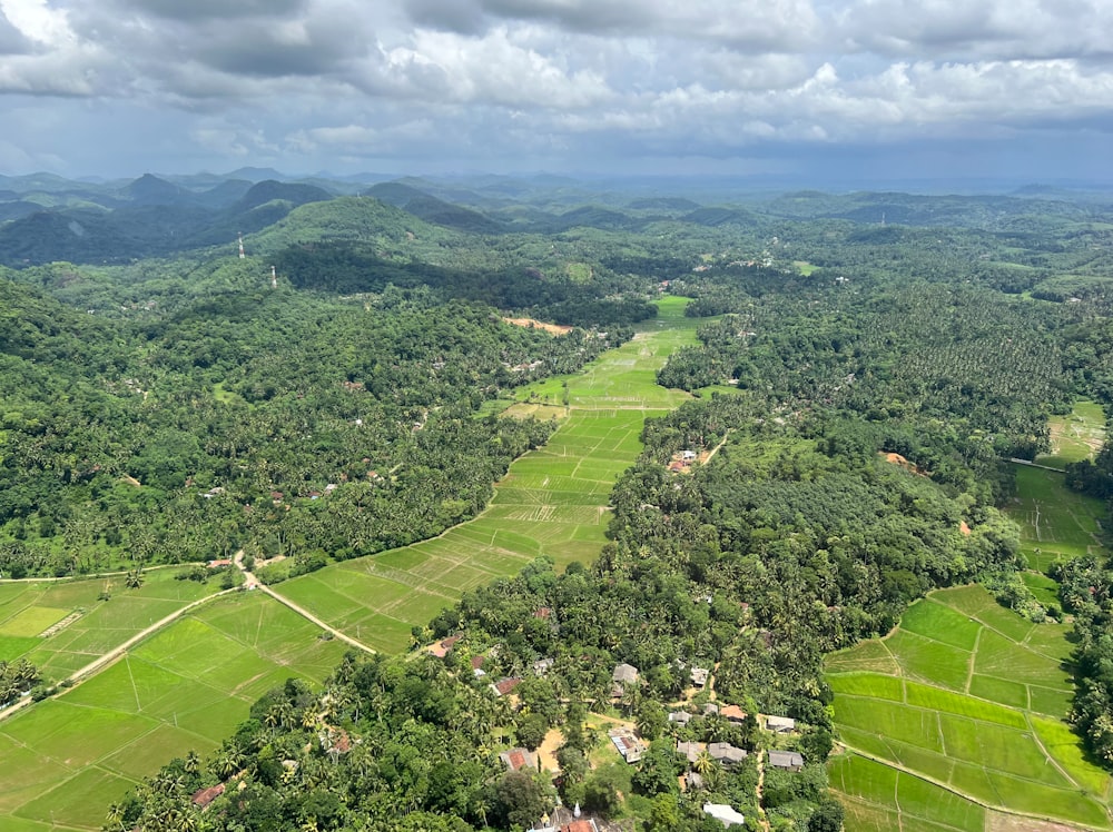 Un paisaje con árboles y edificios