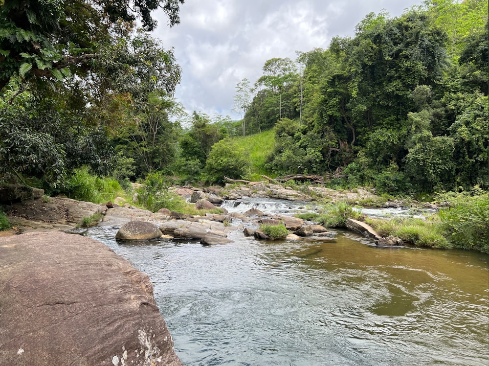 a river with rocks and trees