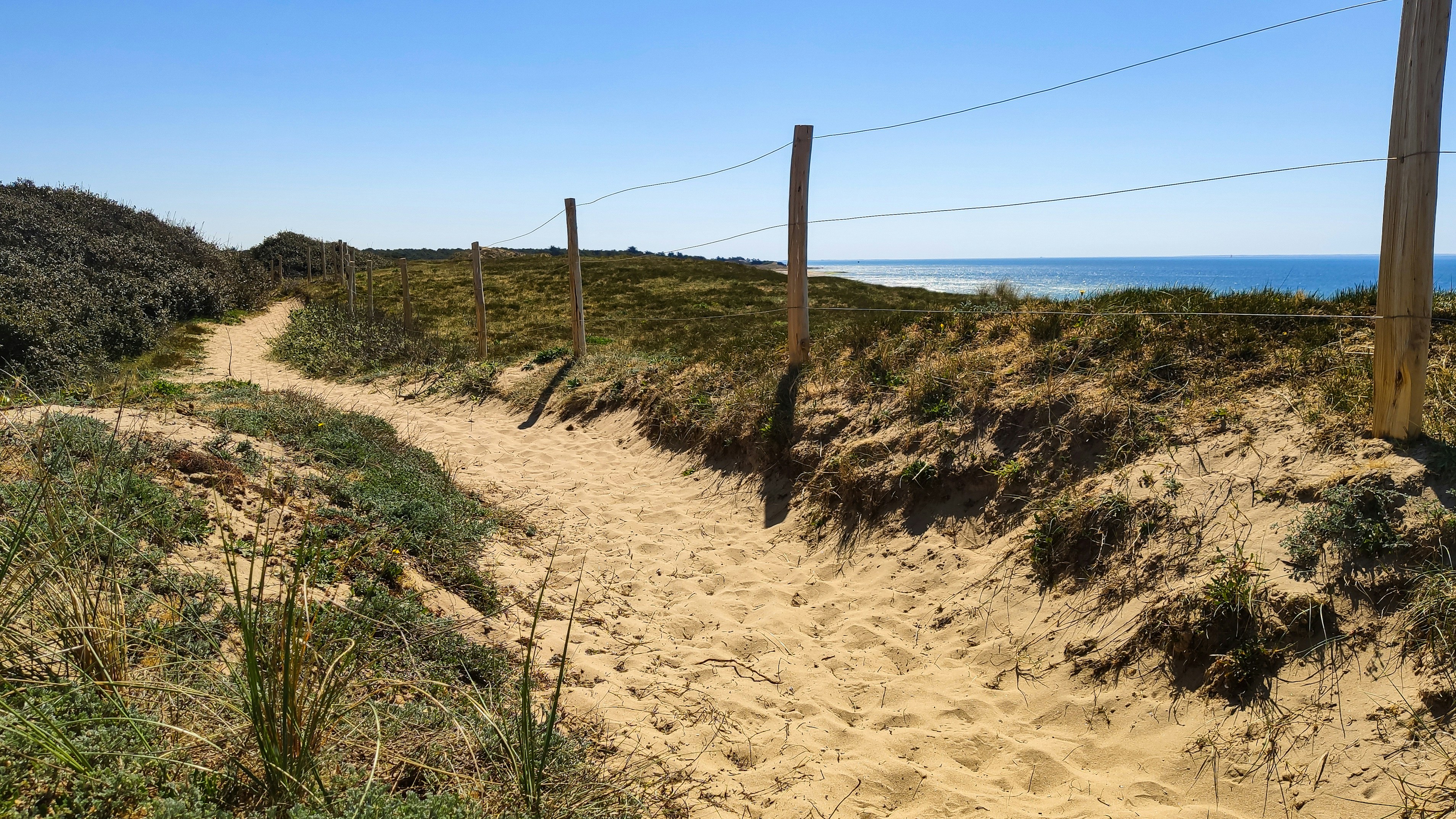 une plage de sable avec une clôture