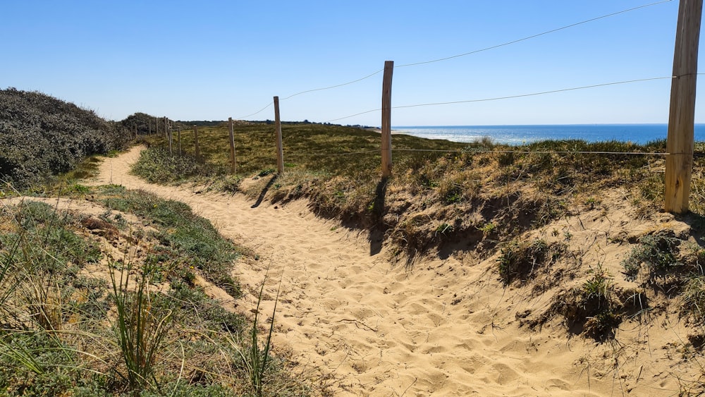 a sandy beach with a fence