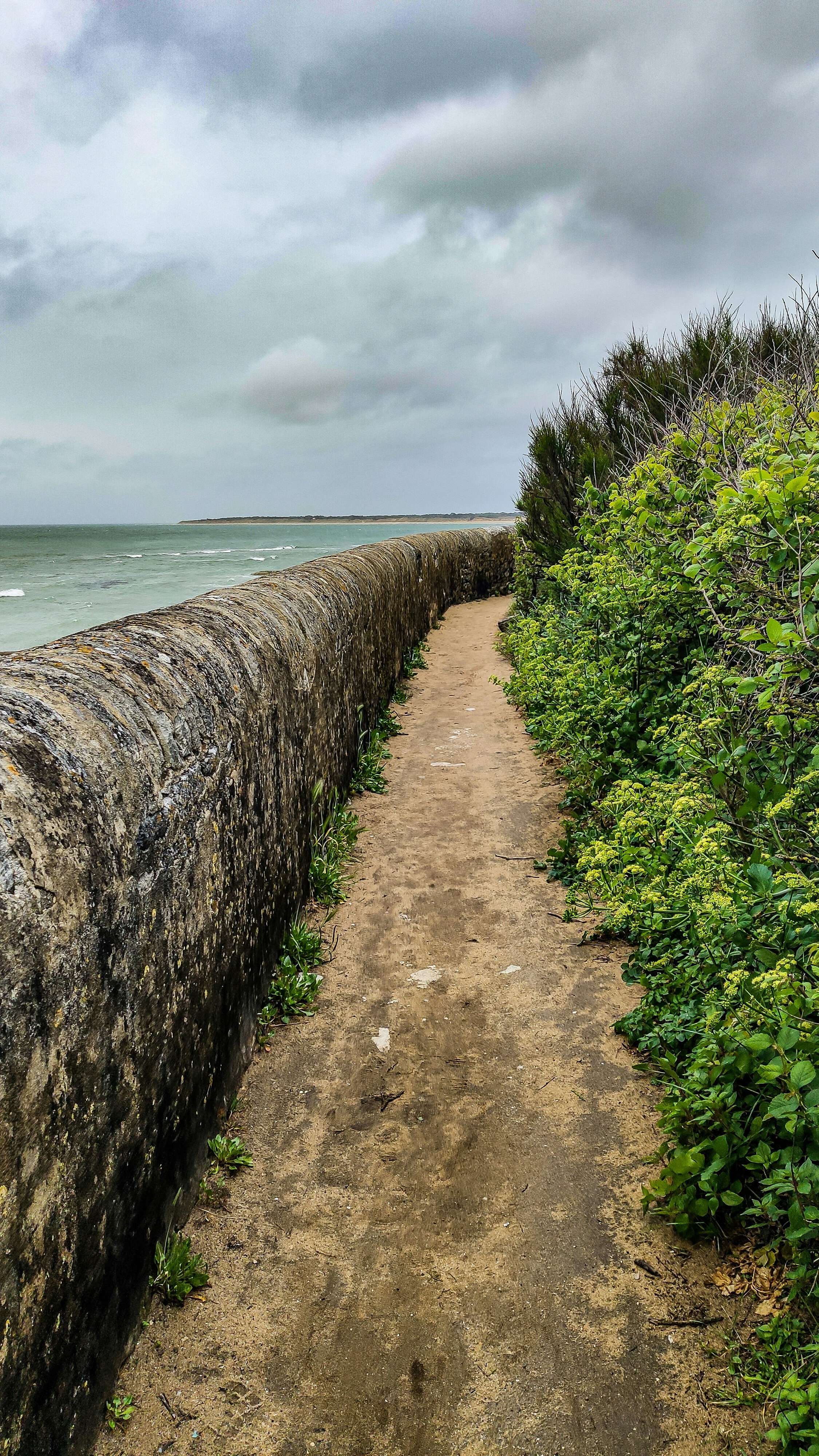 un chemin de terre à côté d’un plan d’eau
