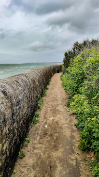 a dirt path next to a body of water