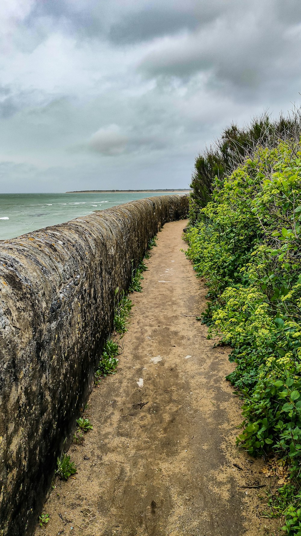 a dirt path next to a body of water