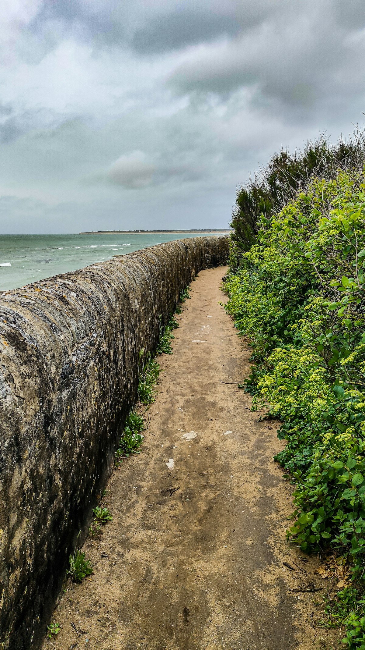 Nouvelle-Aquitaine, l'horizon sans fin.