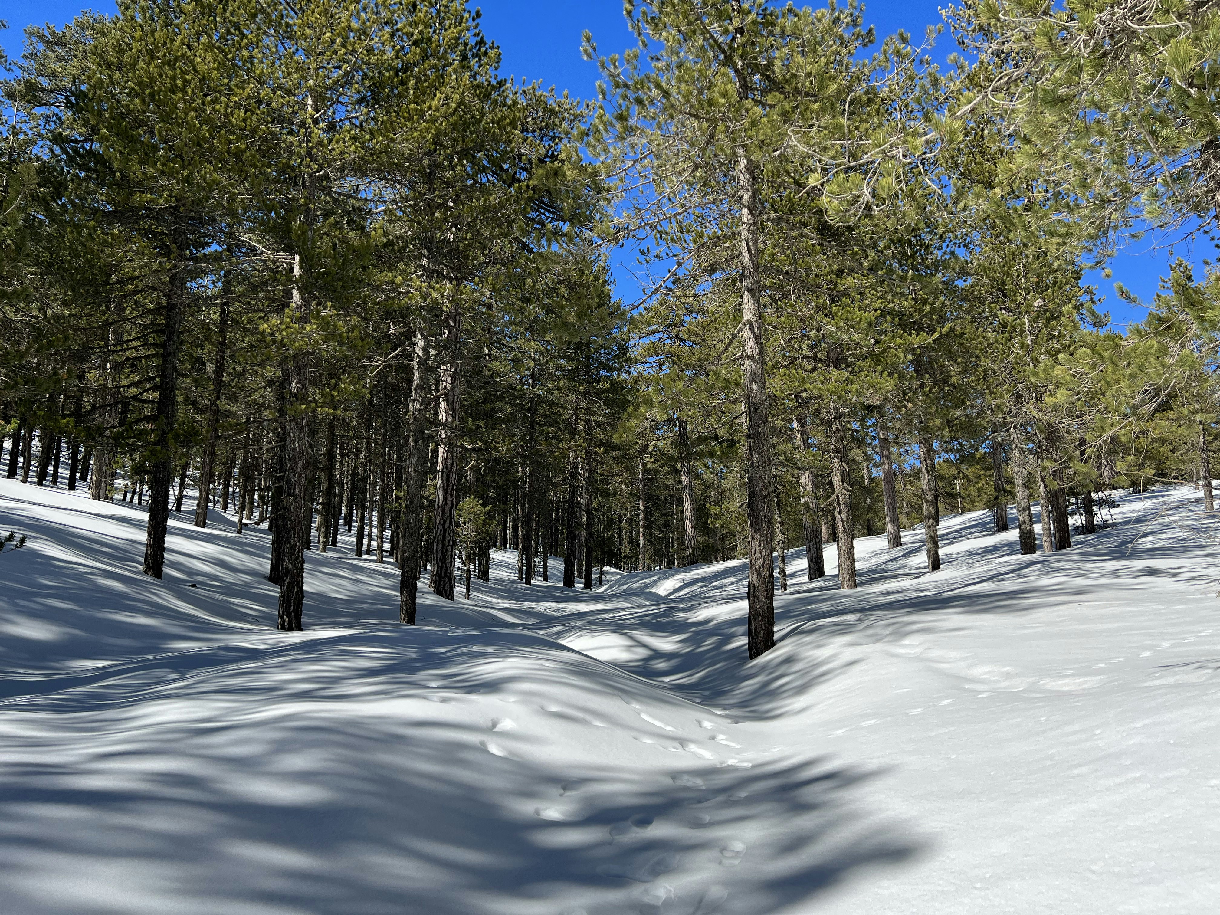 Photo by secrettravelguide