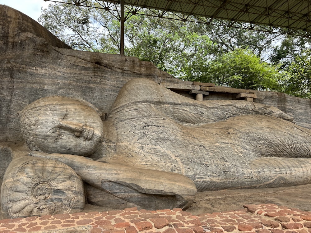 a rock formation with a face carved into it