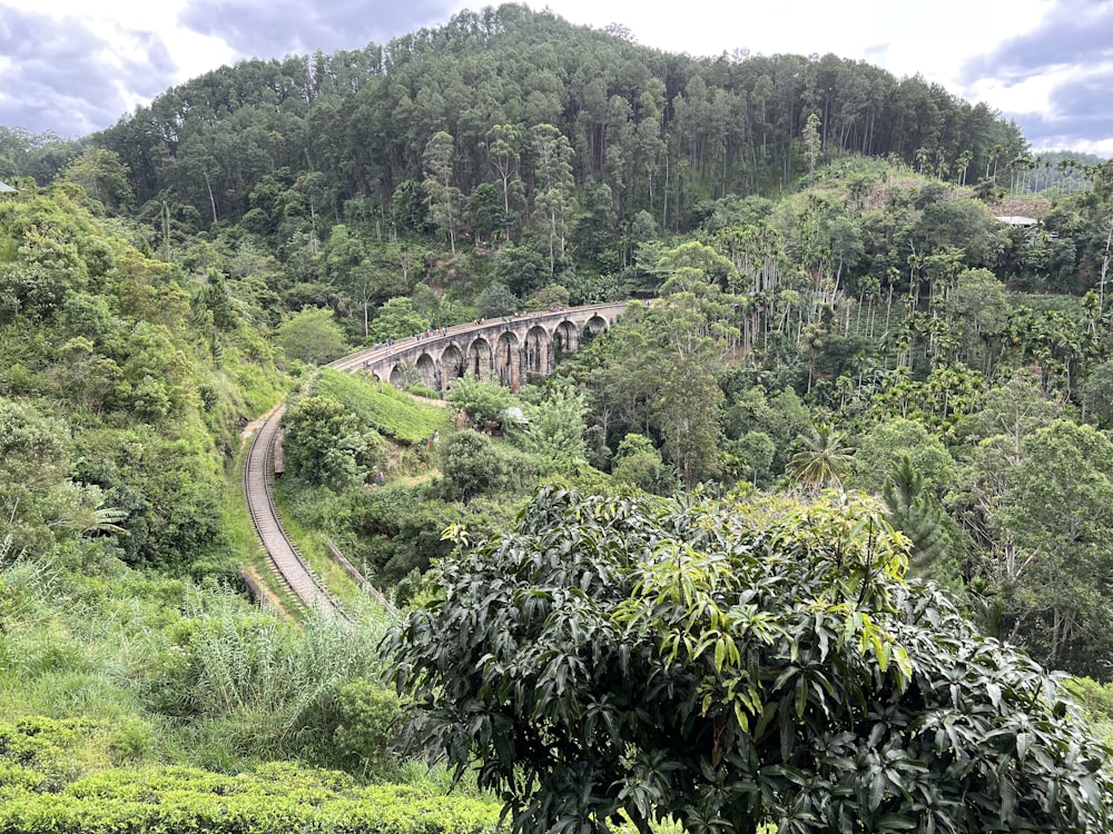 a large stone bridge over a forest