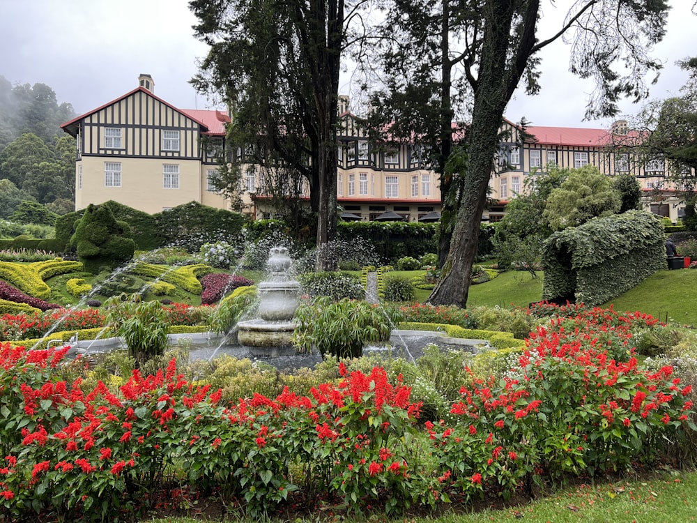 a garden with a fountain and flowers