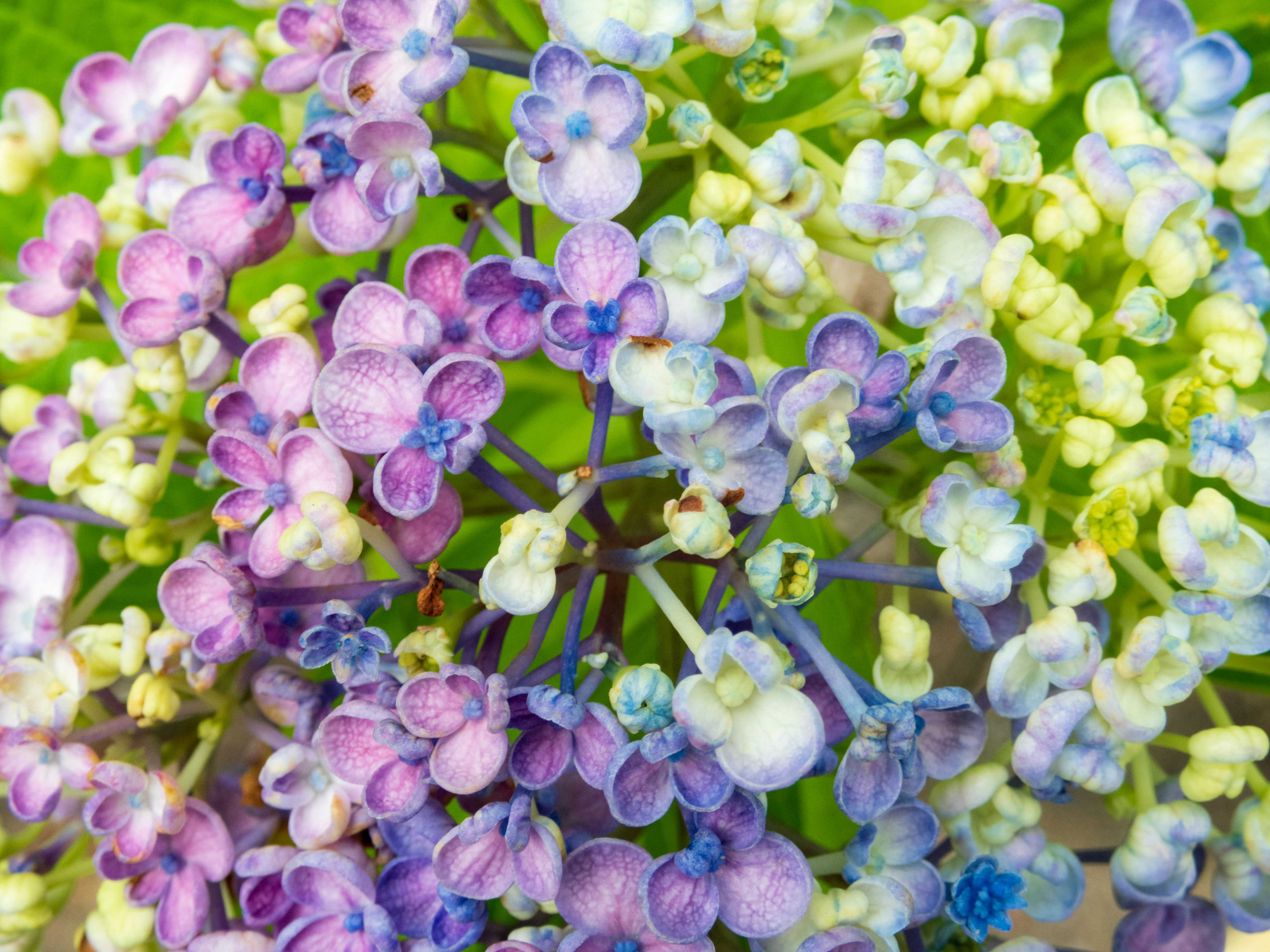 Photo by heppoko_yama