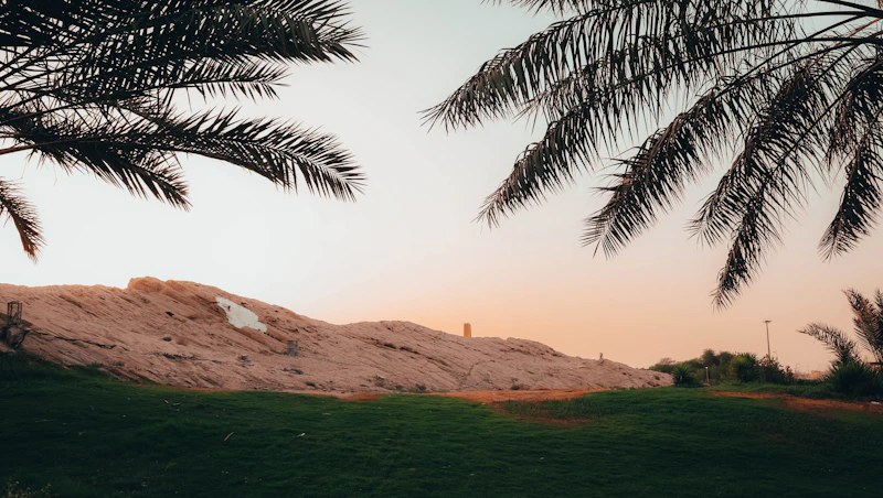Best Walking Paths and Streets in Dammam to Explore on Foot