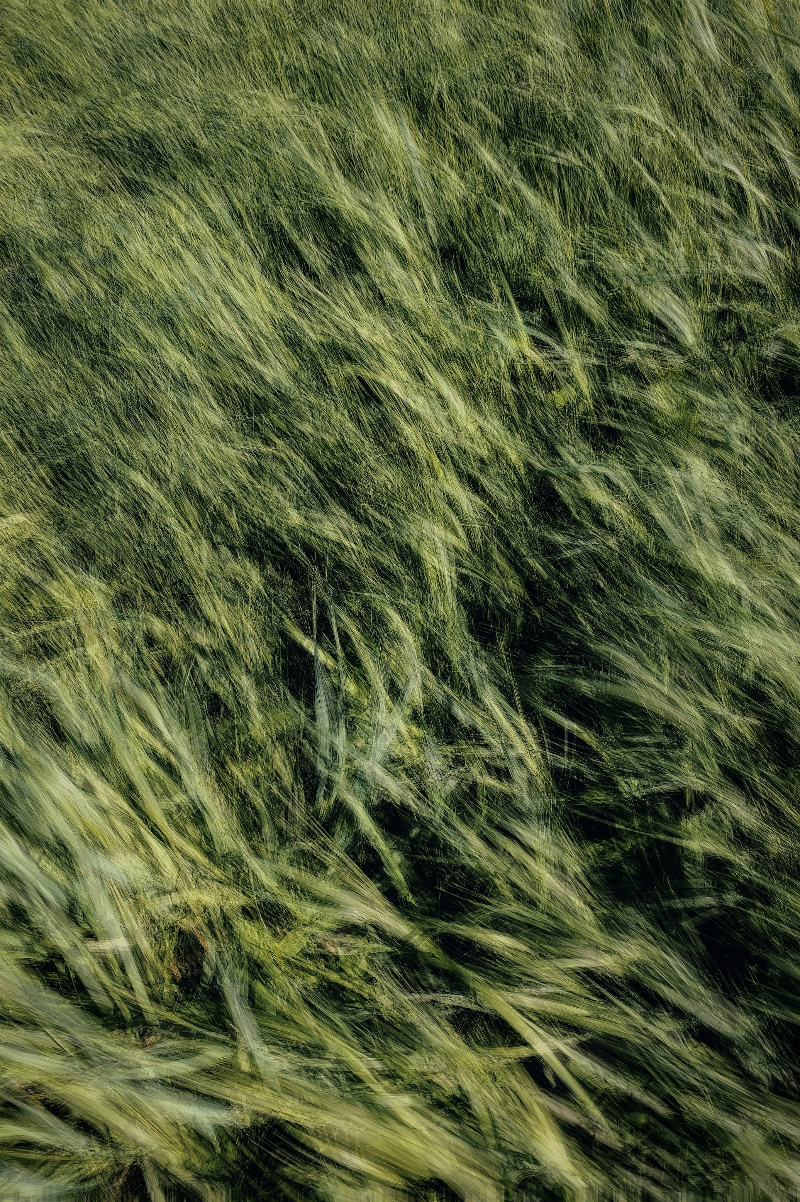 Photo by eugene_golovesov