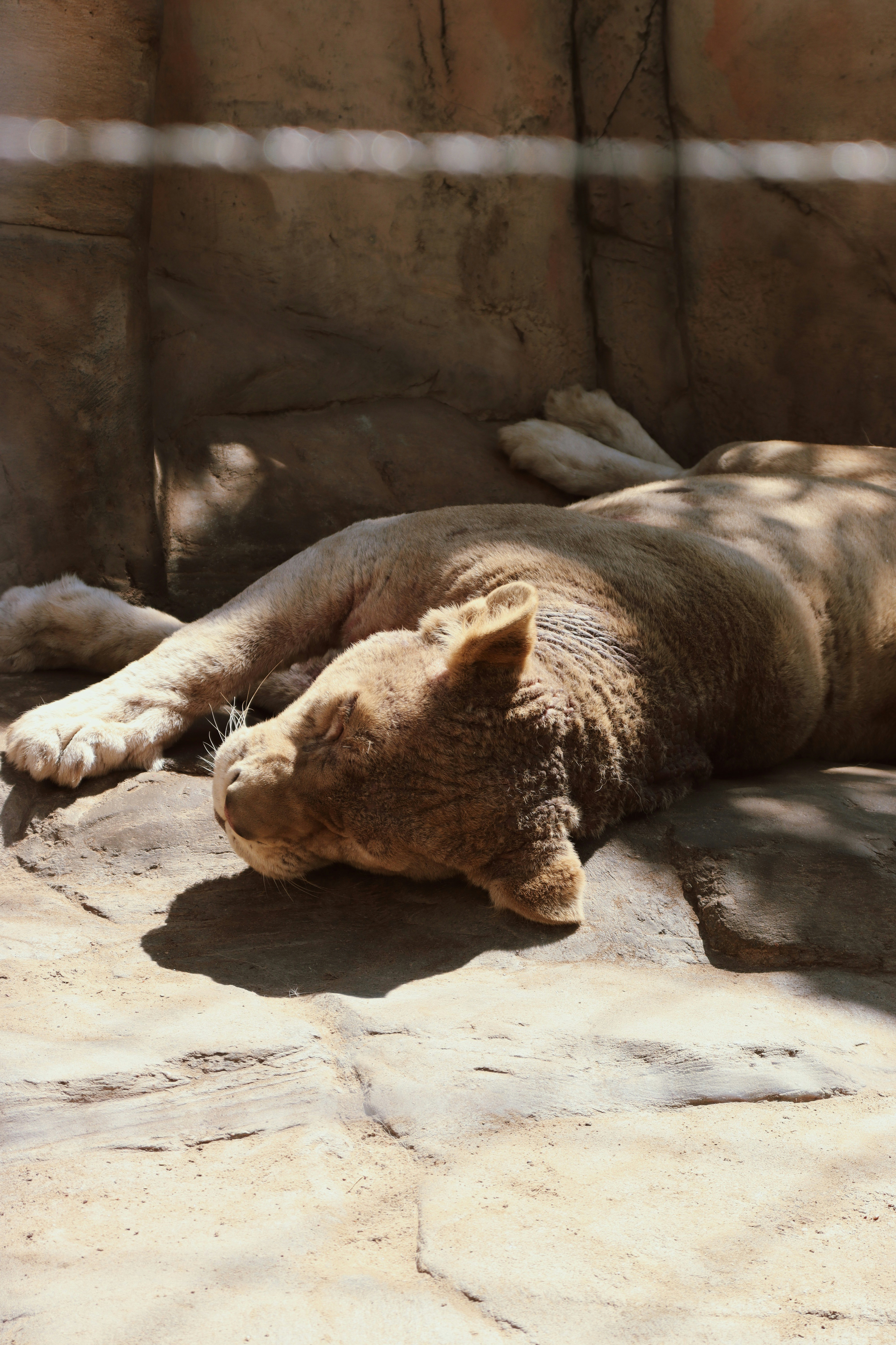 Photo by anastasiamostickaya