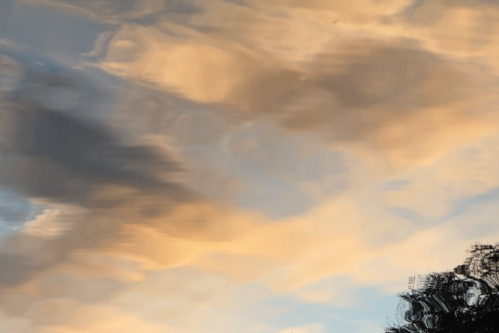 a cloudy sky with a tree