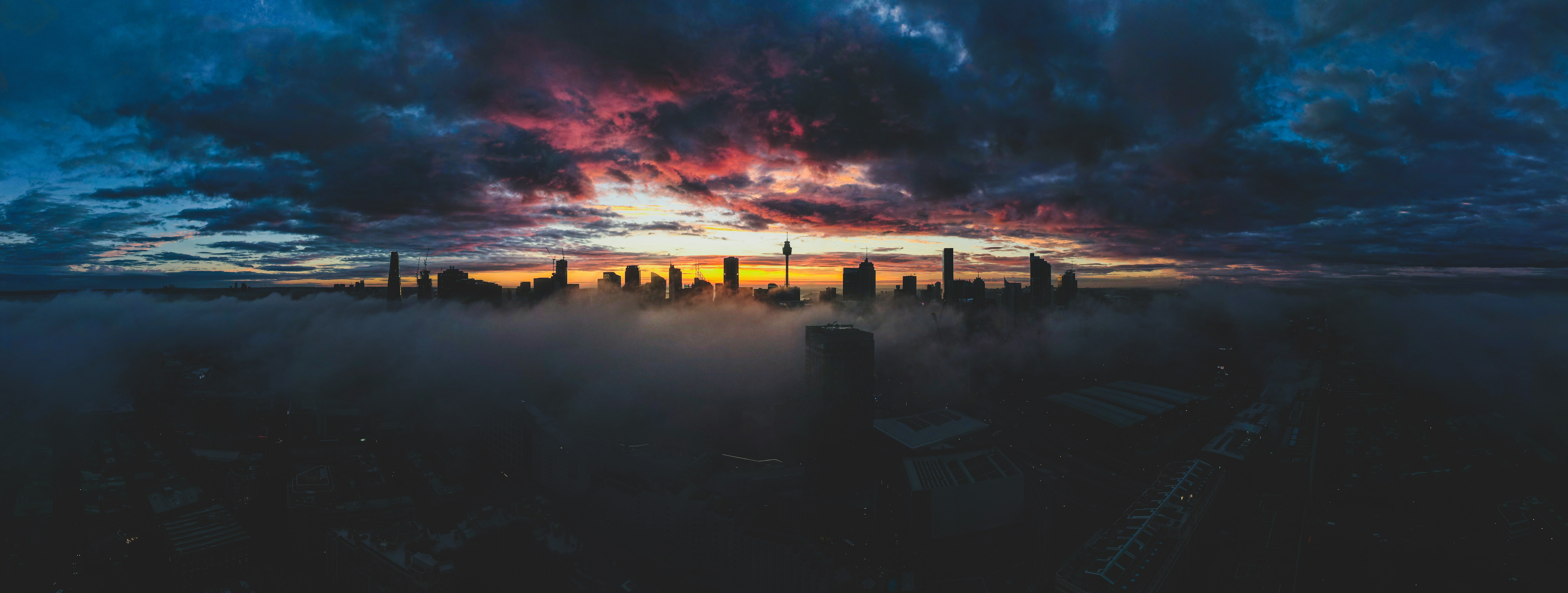 Photo by martin_dav1d