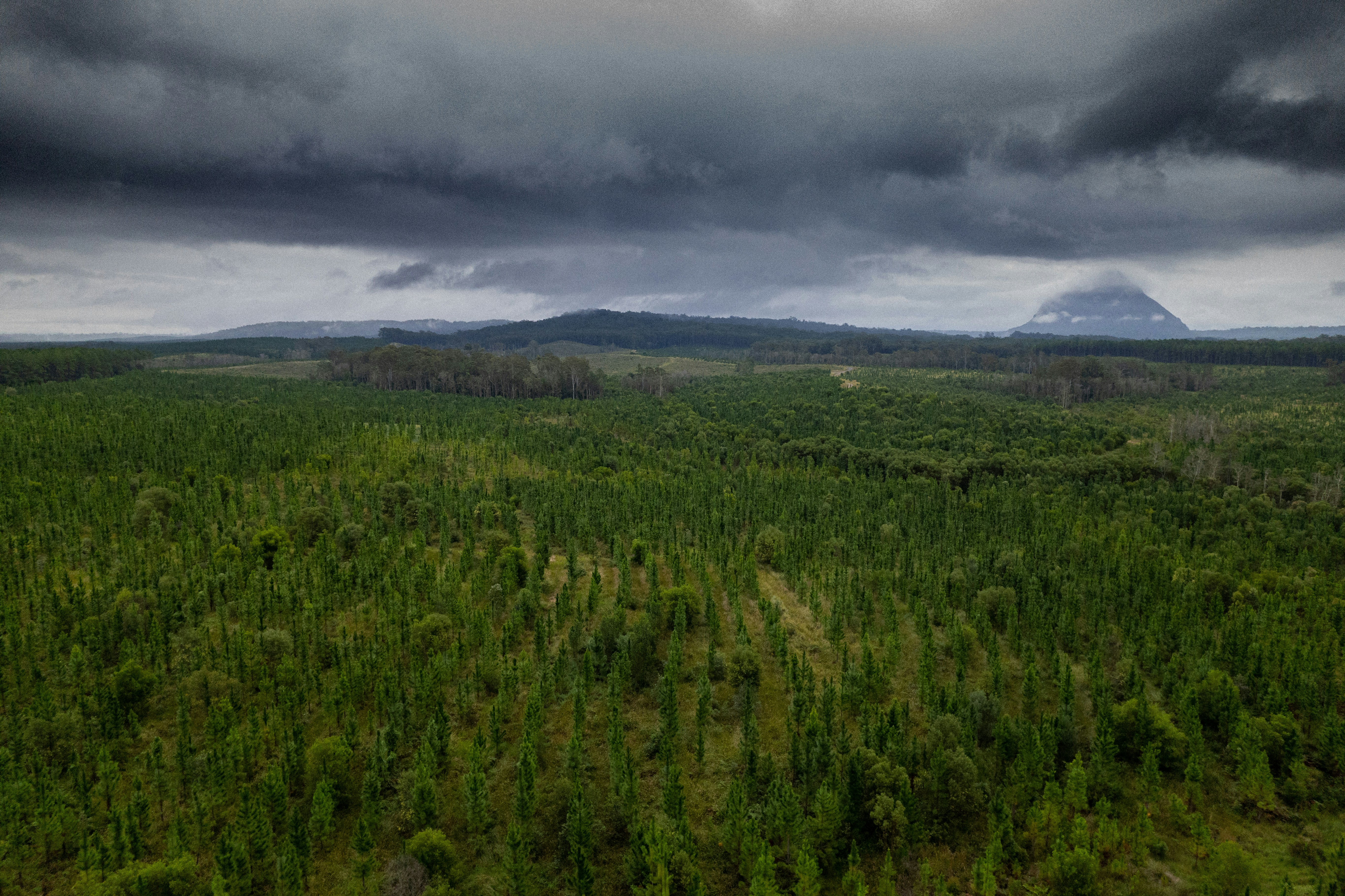 Photo by martin_dav1d