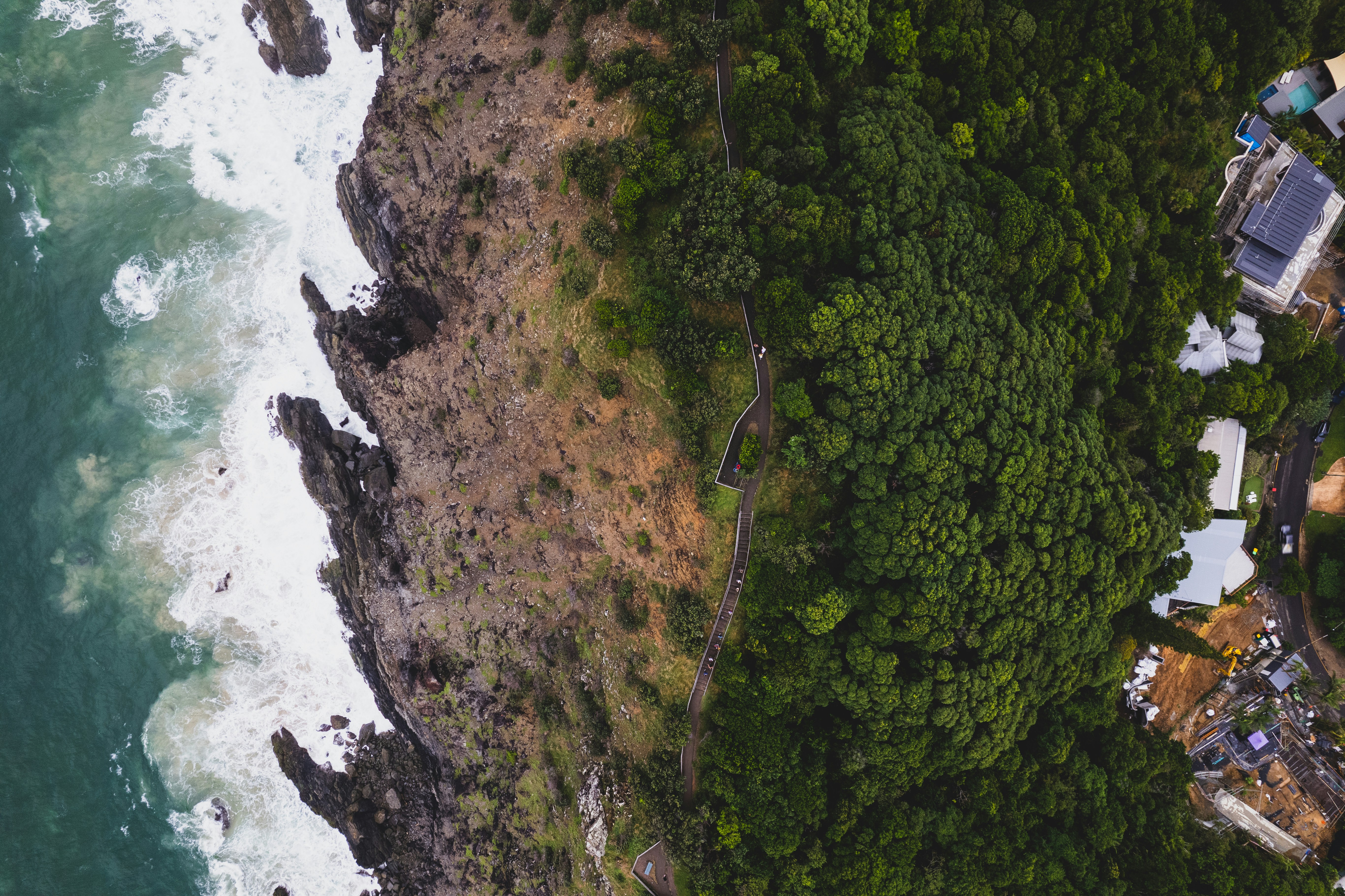 Photo by martin_dav1d